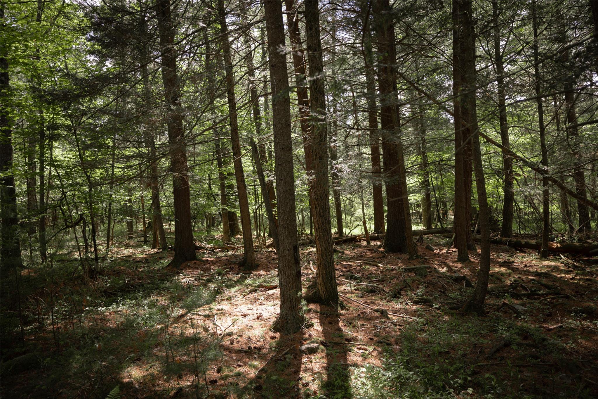 300 Mt Laurel Road, Kerhonkson, NY 12446