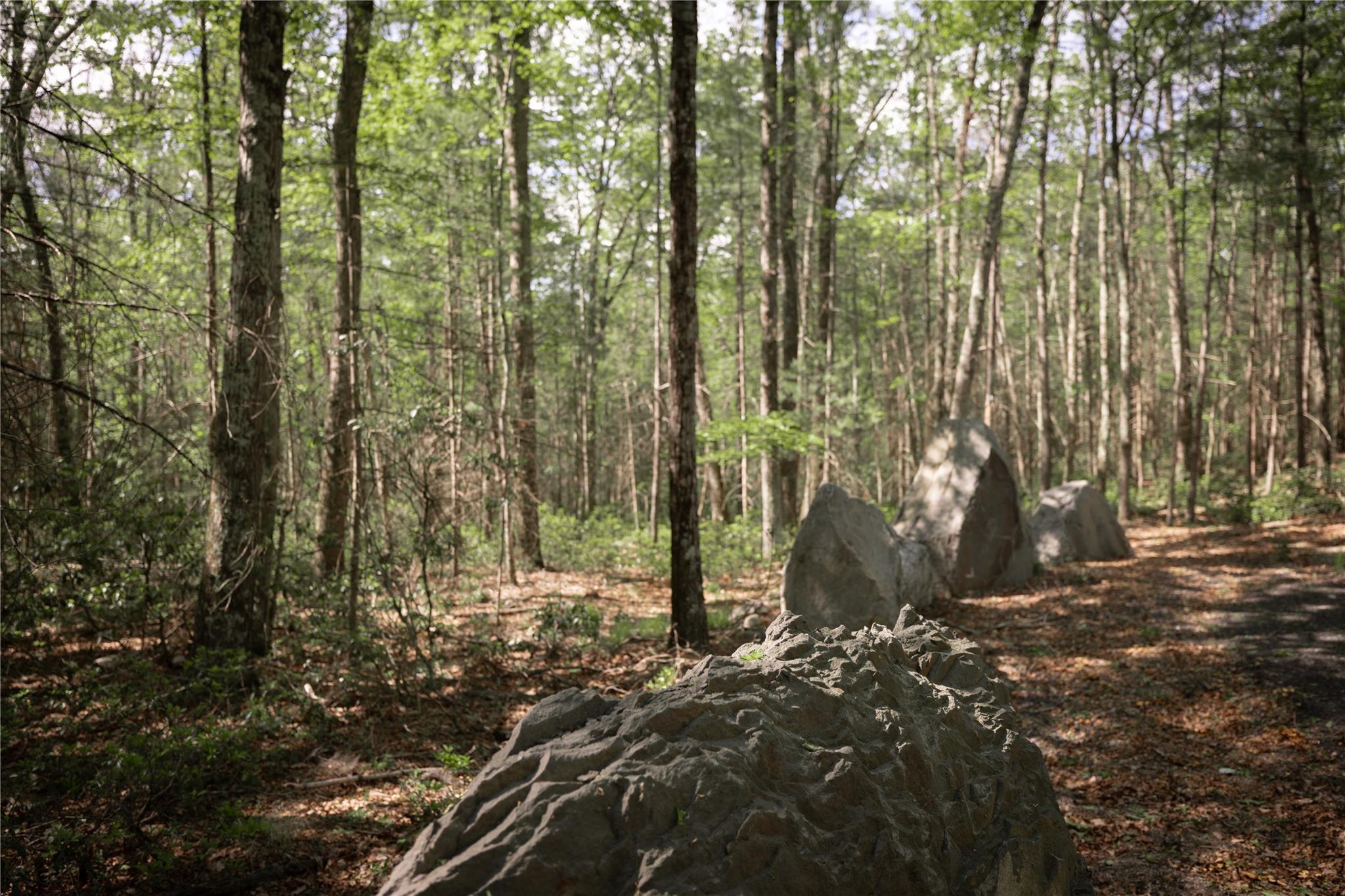 300 Mt Laurel Road, Kerhonkson, NY 12446