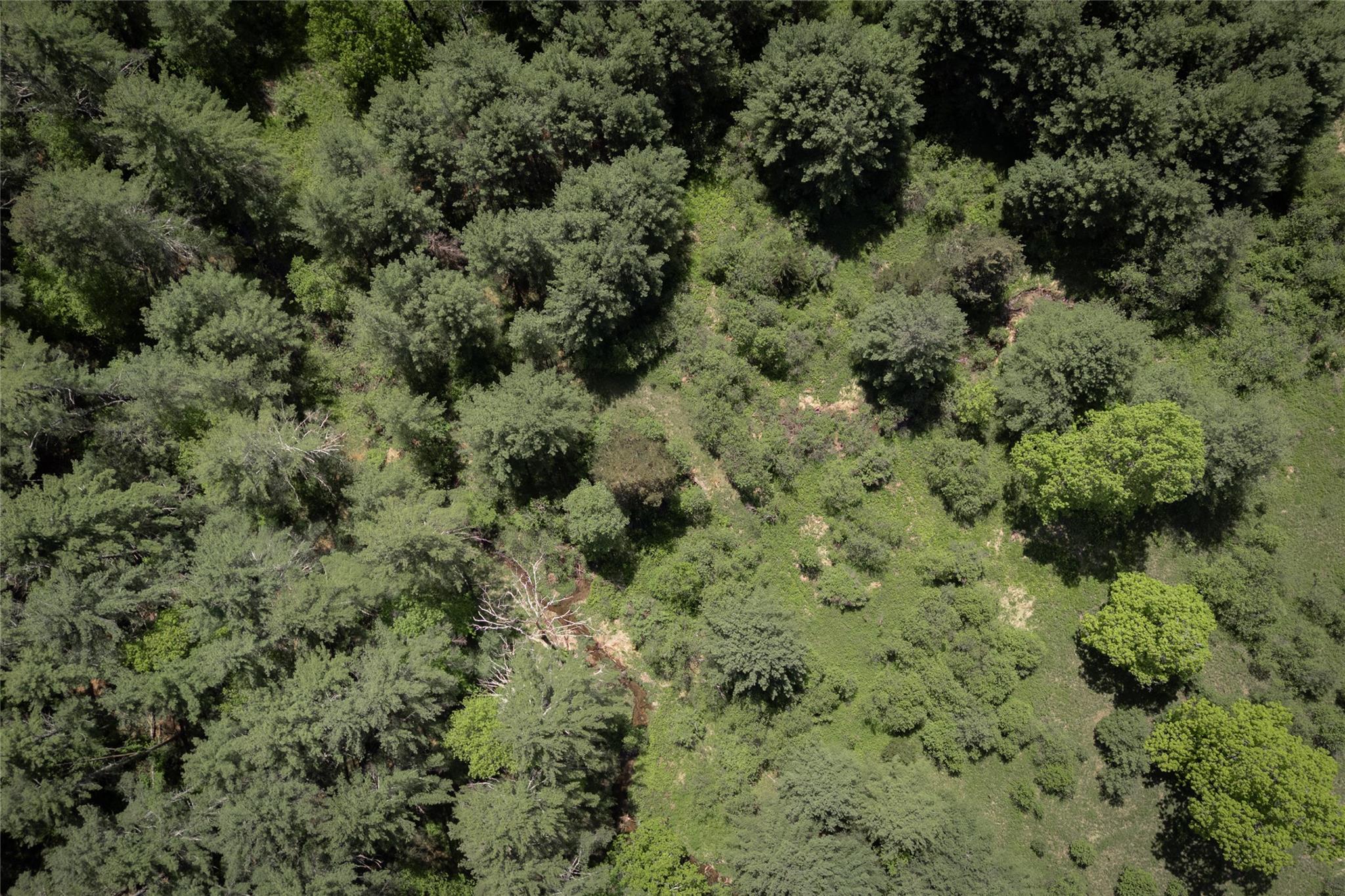 300 Mt Laurel Road, Kerhonkson, NY 12446