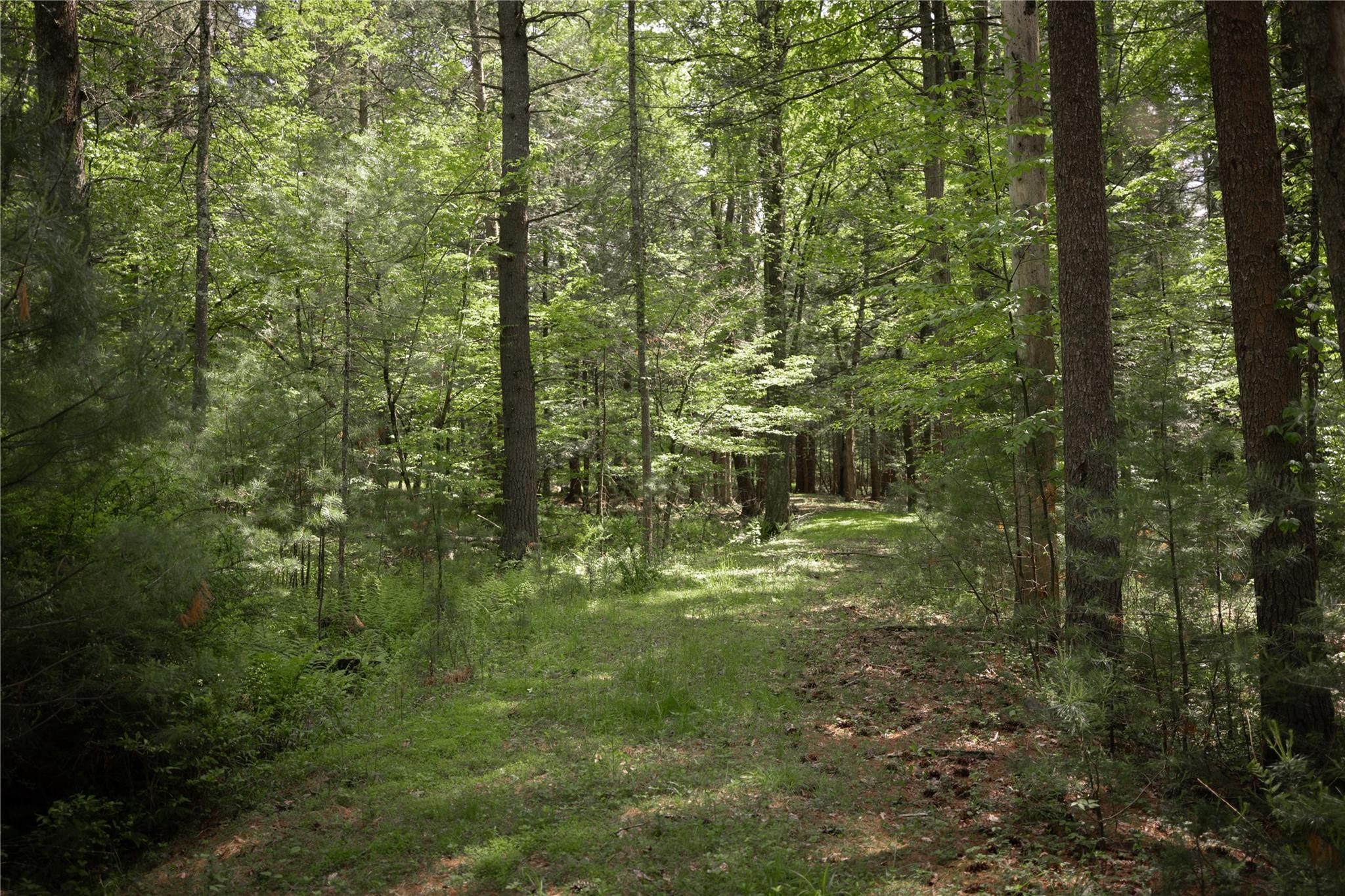 300 Mt Laurel Road, Kerhonkson, NY 12446