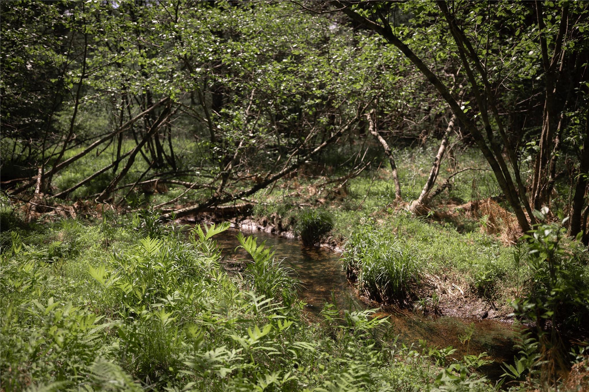 300 Mt Laurel Road, Kerhonkson, NY 12446