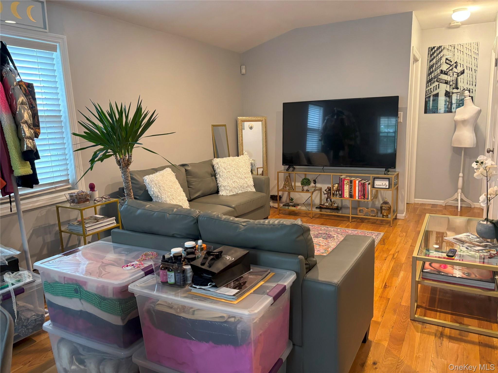 133-50 123 STREET, South Ozone Park, NY 11420