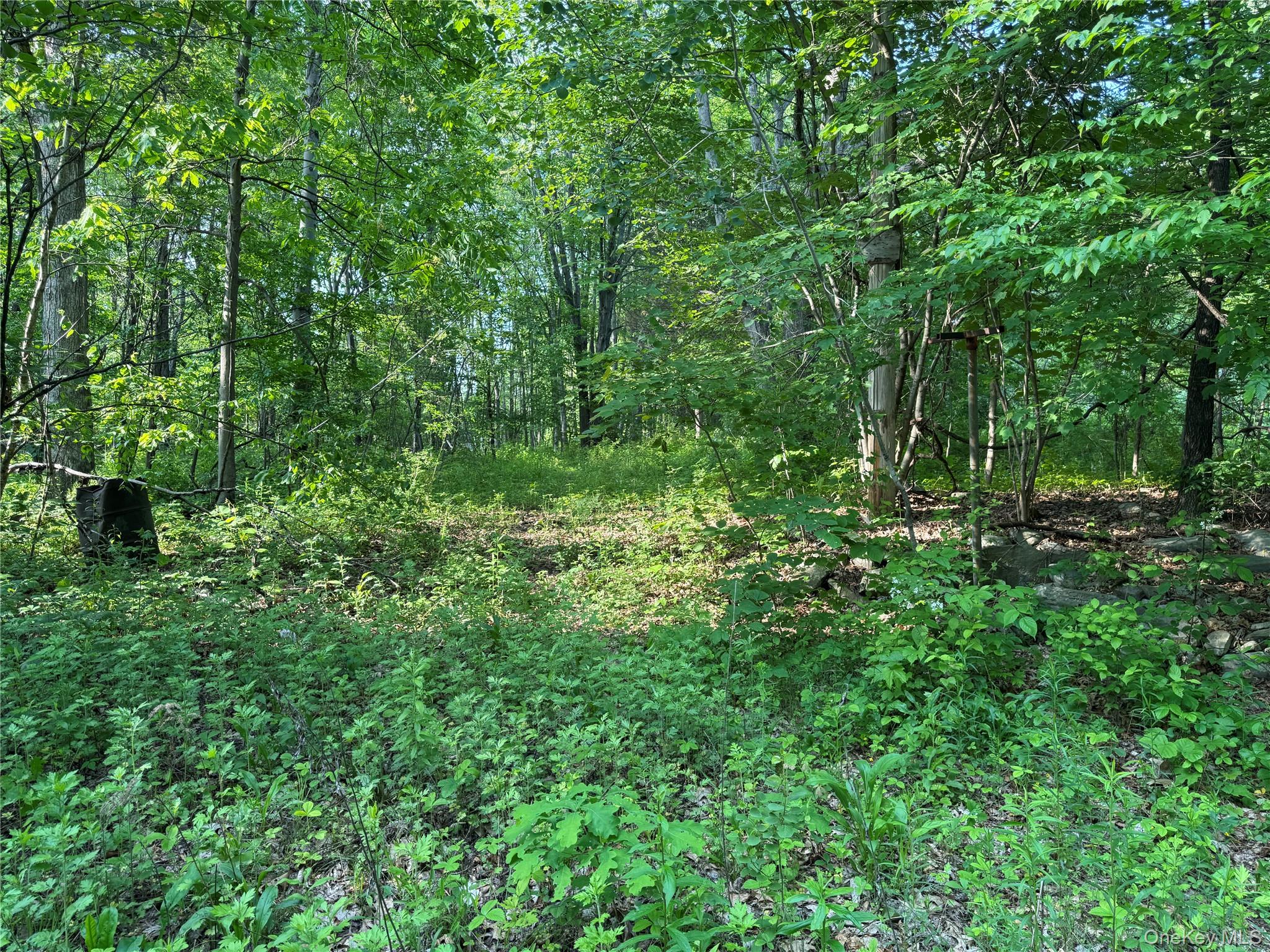 16 Saul Trail, Wallkill, NY 12589