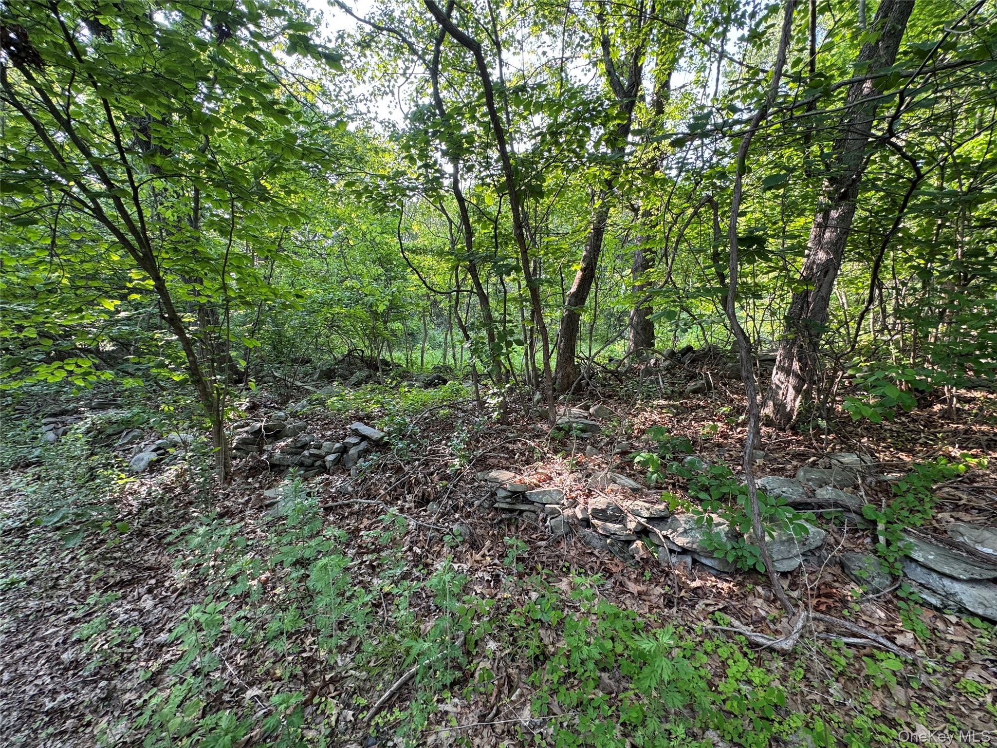 16 Saul Trail, Wallkill, NY 12589