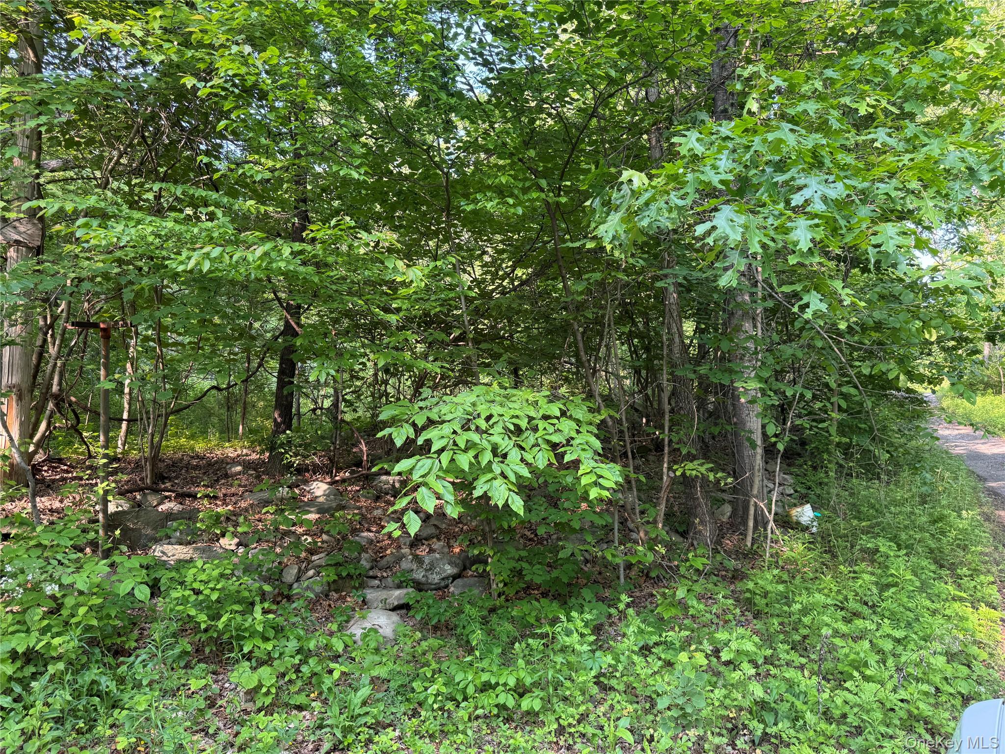 16 Saul Trail, Wallkill, NY 12589