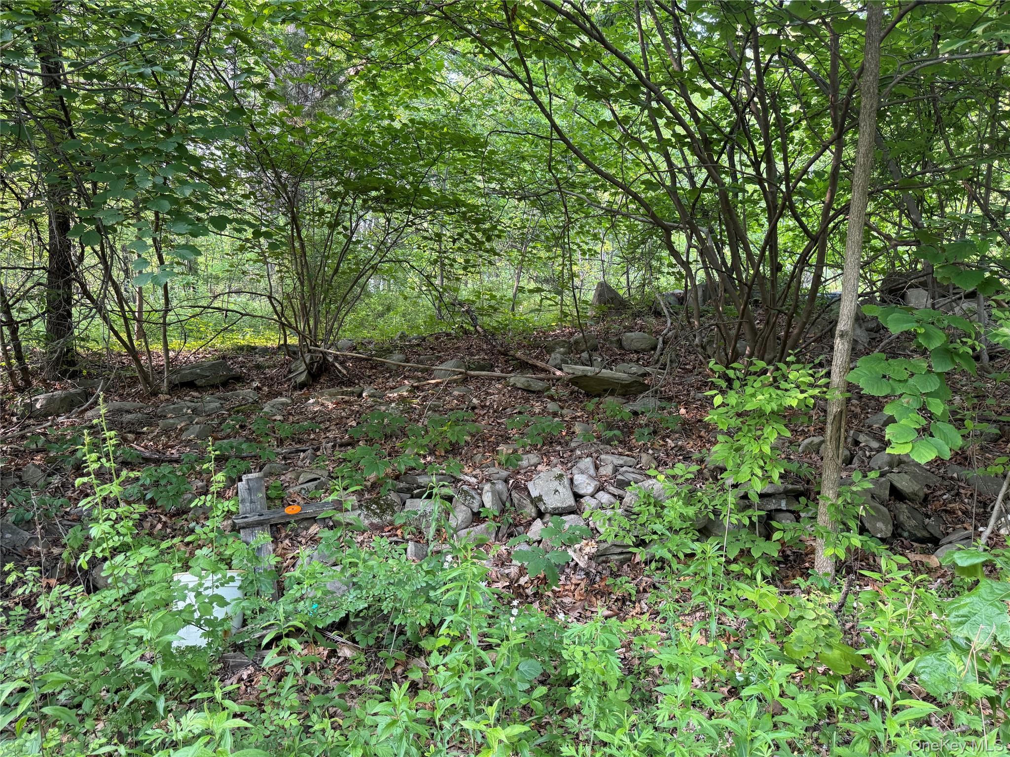 16 Saul Trail, Wallkill, NY 12589