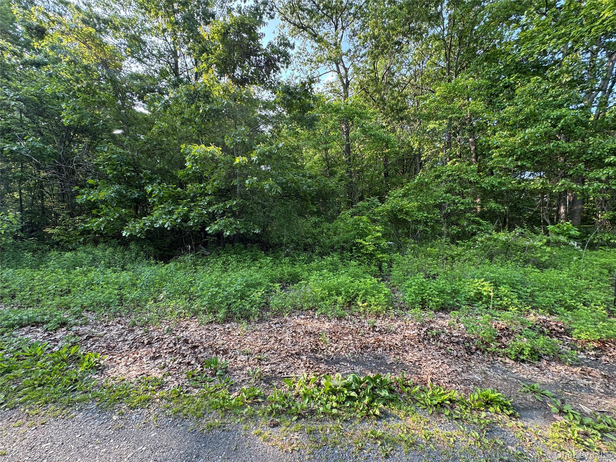 16 Saul Trail, Wallkill, NY 12589