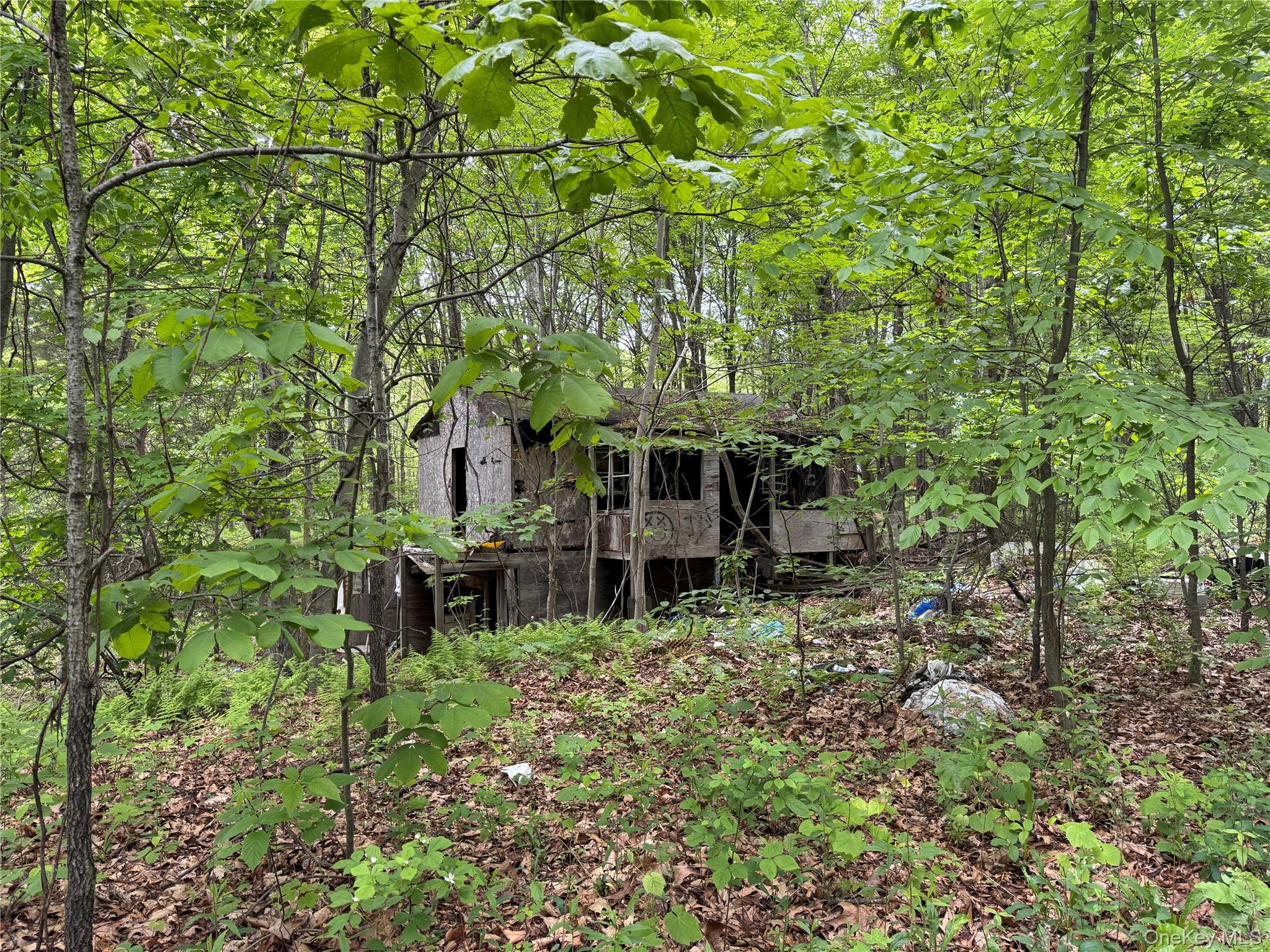 24 Saul Trail, Wallkill, NY 12589