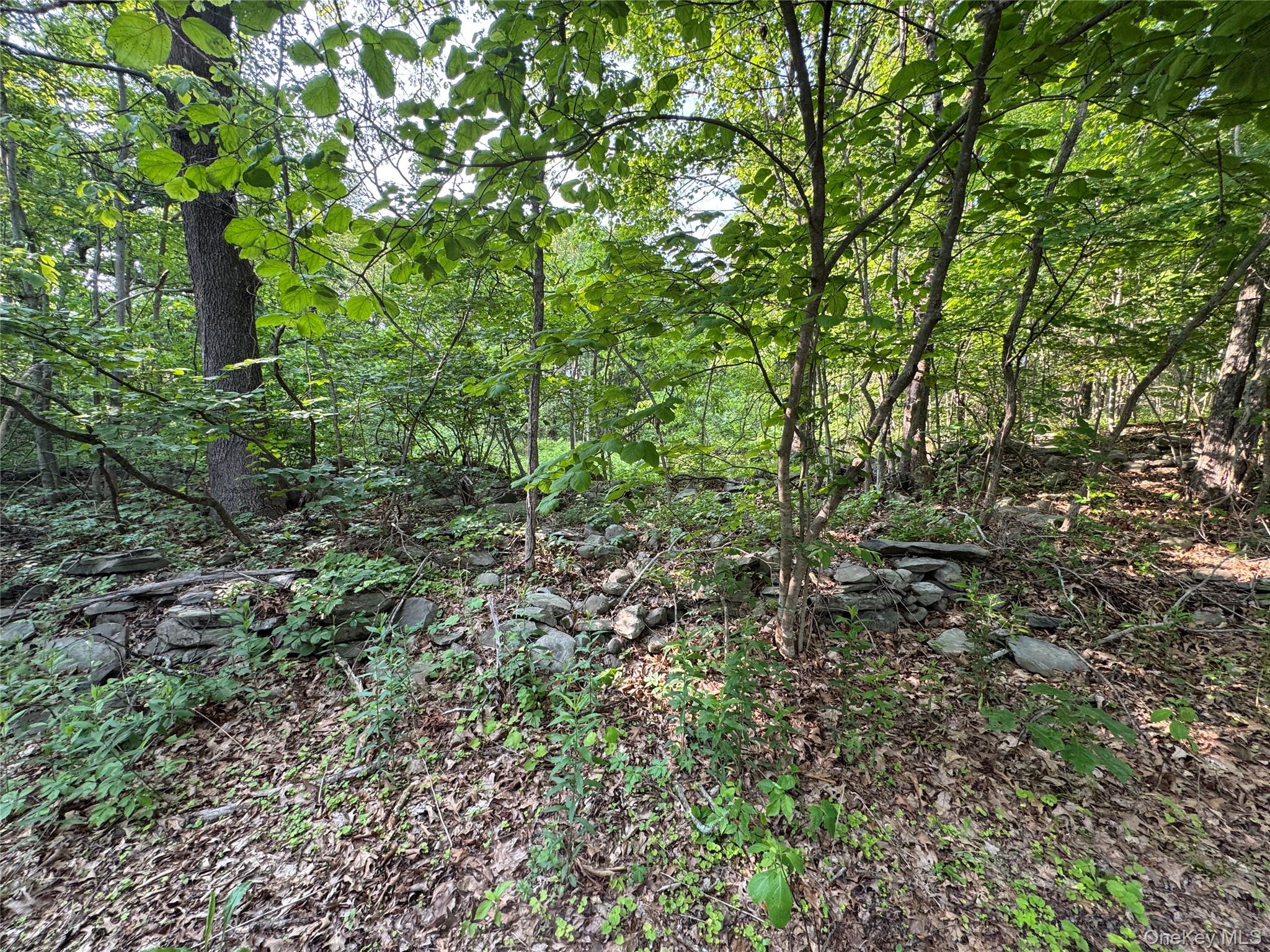 24 Saul Trail, Wallkill, NY 12589