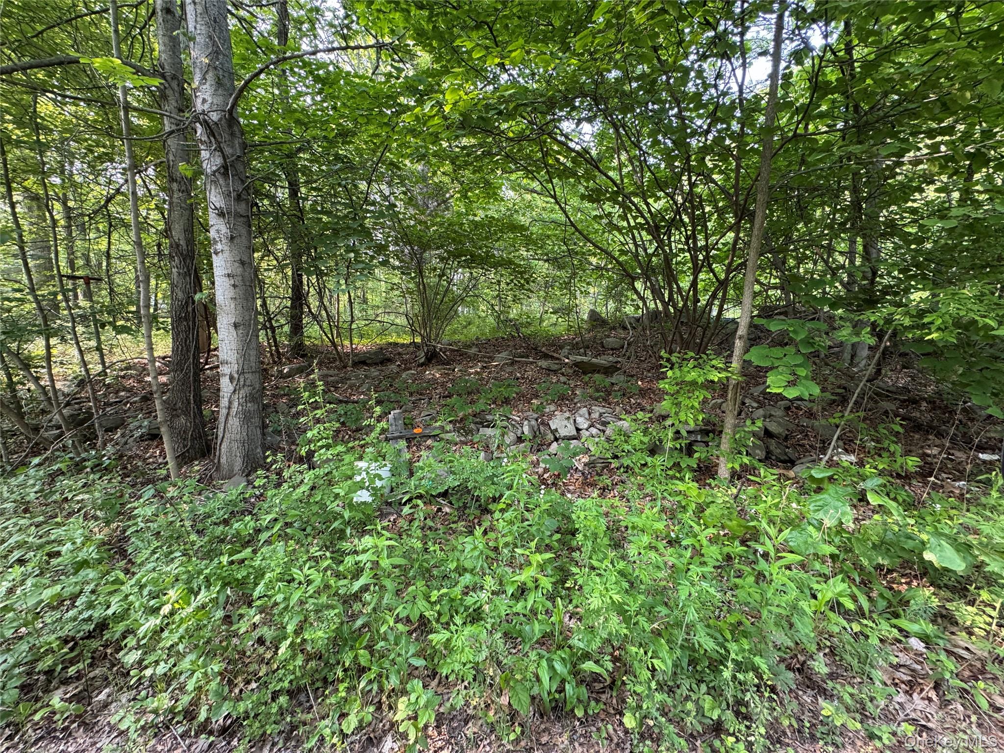 24 Saul Trail, Wallkill, NY 12589