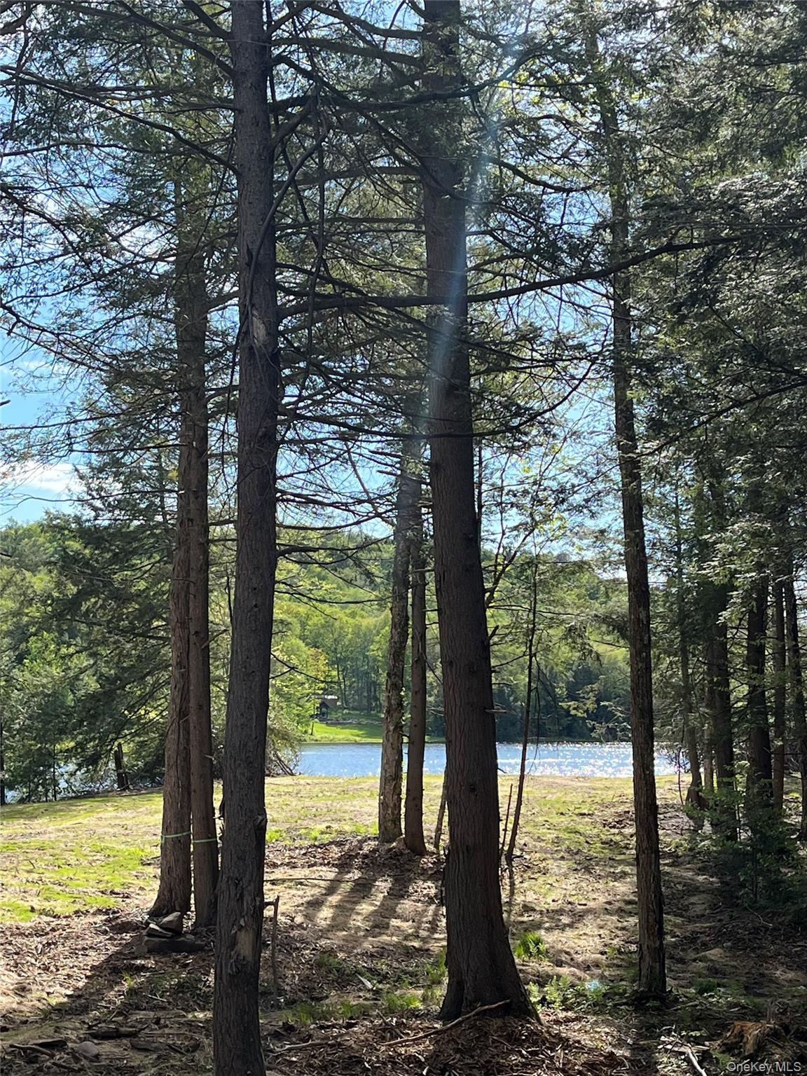 47 Eagles Ridge Way, Parksville, NY 12768