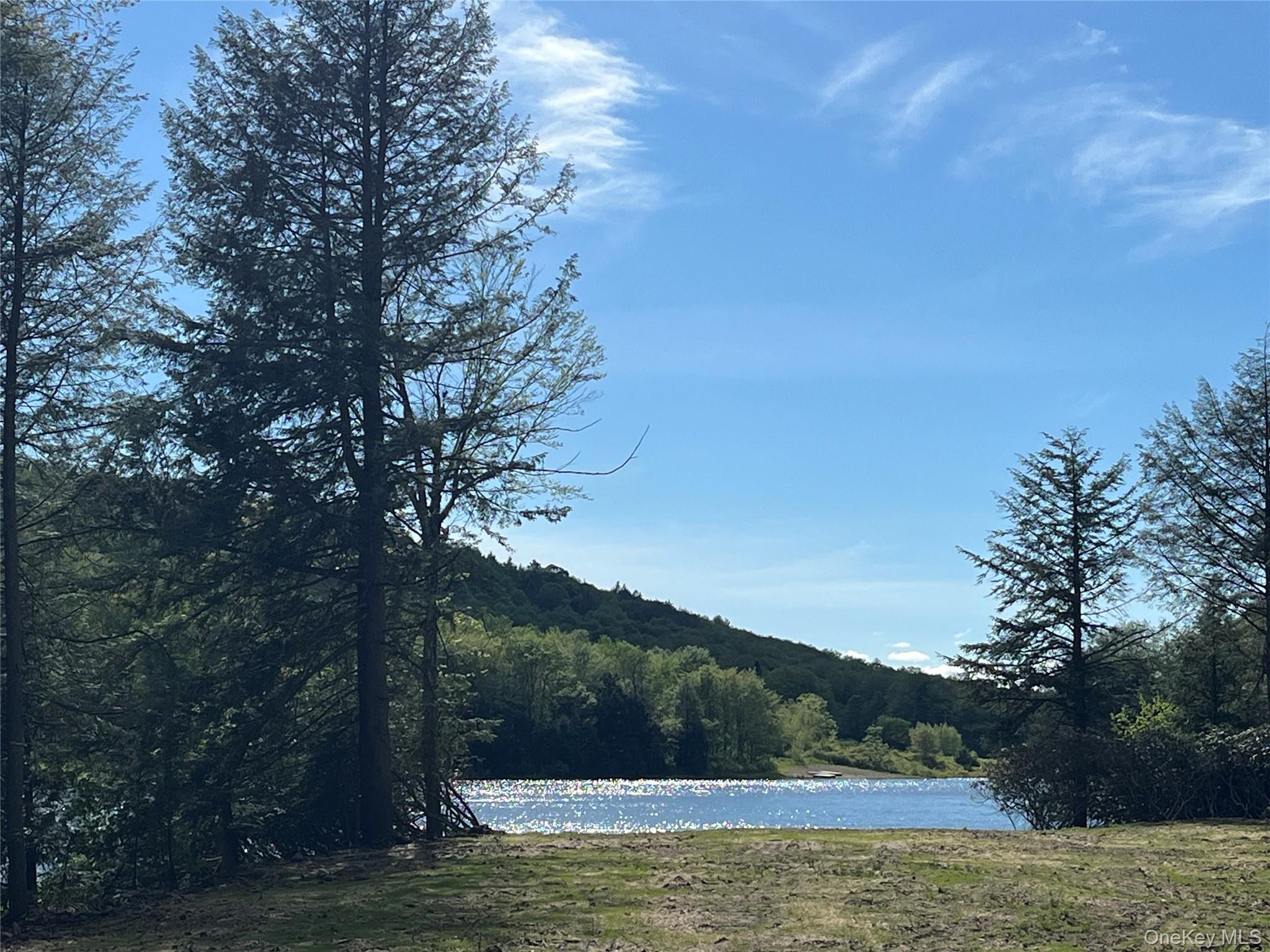 47 Eagles Ridge Way, Parksville, NY 12768