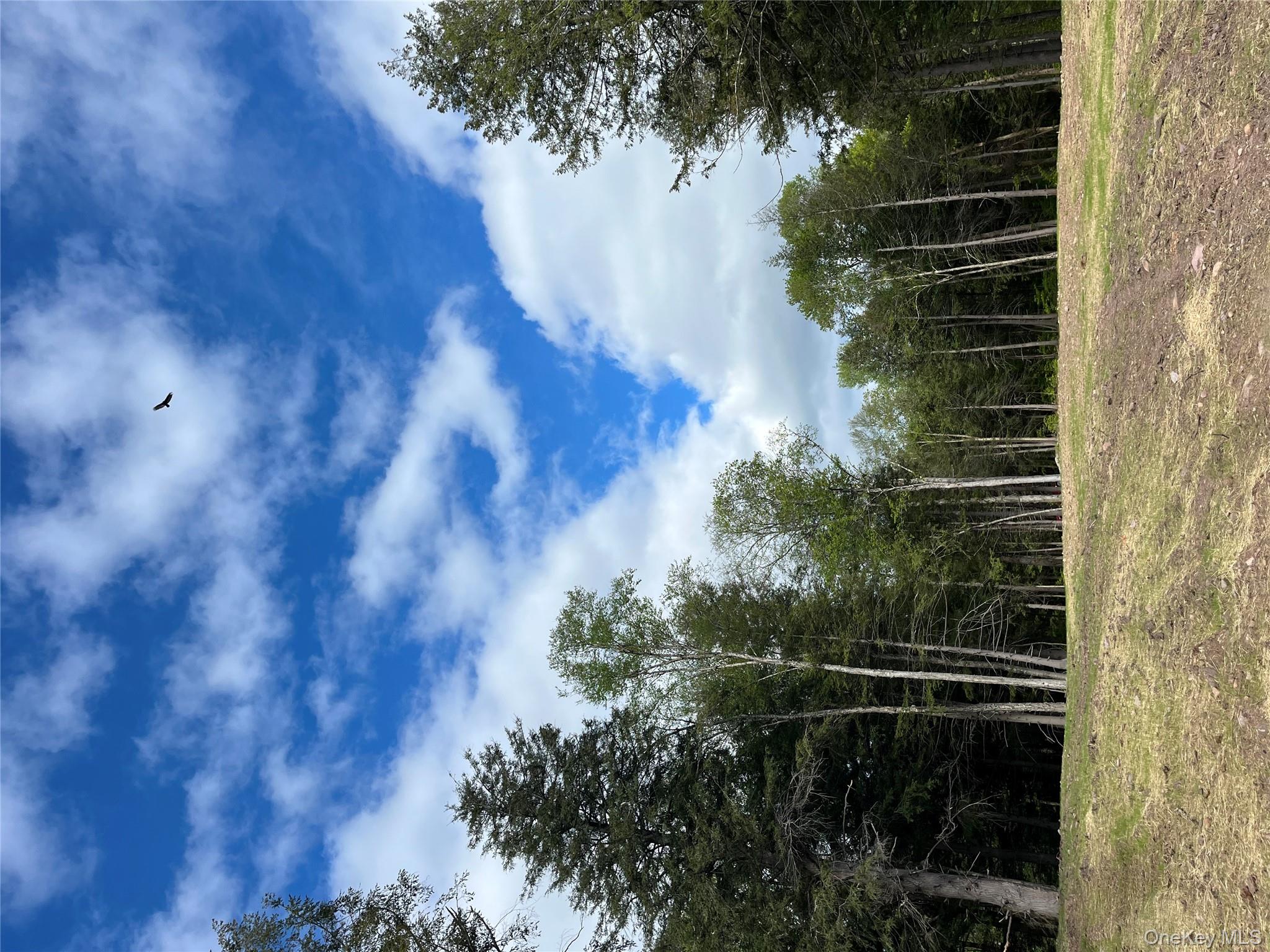 47 Eagles Ridge Way, Parksville, NY 12768