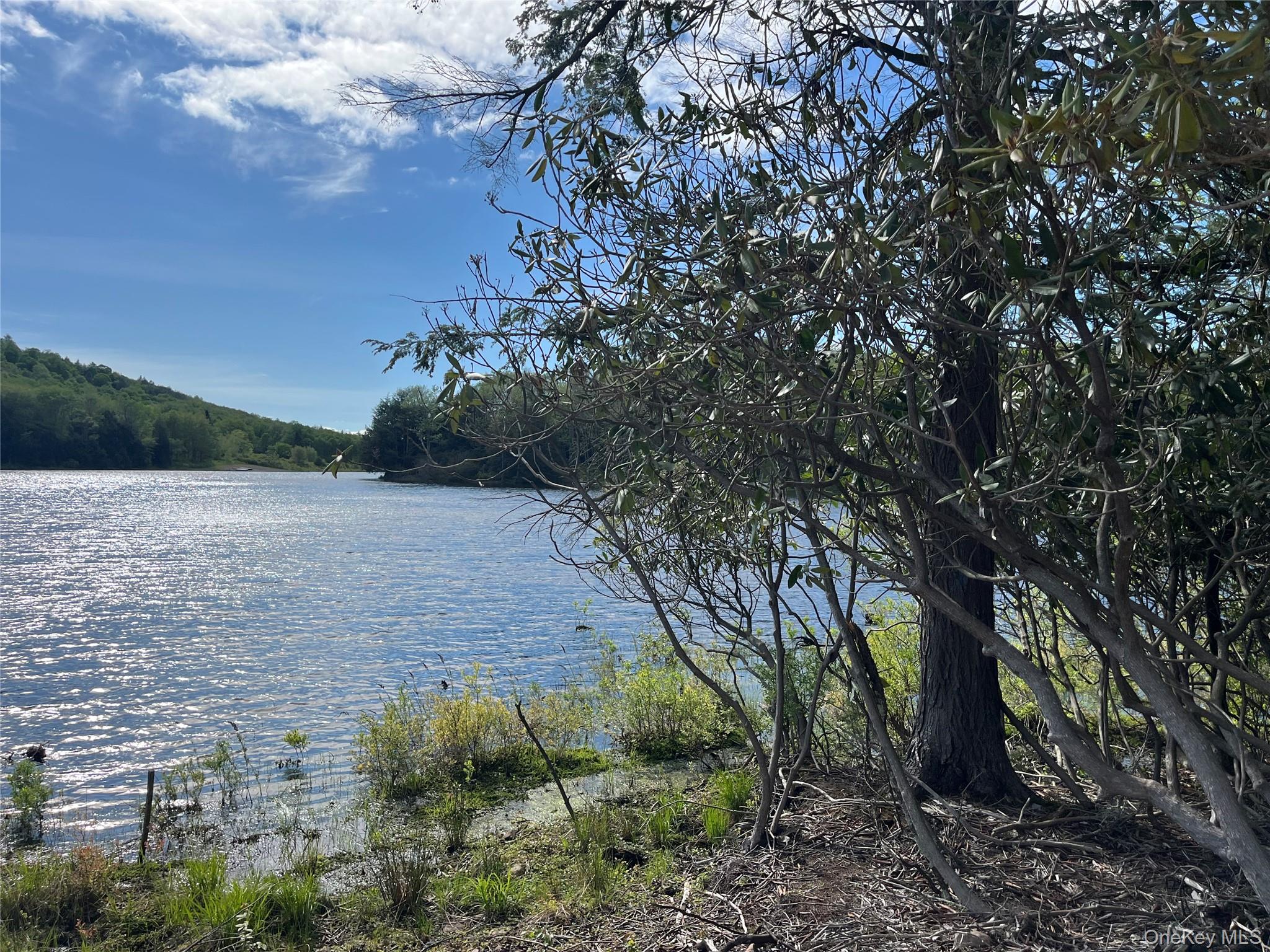 47 Eagles Ridge Way, Parksville, NY 12768