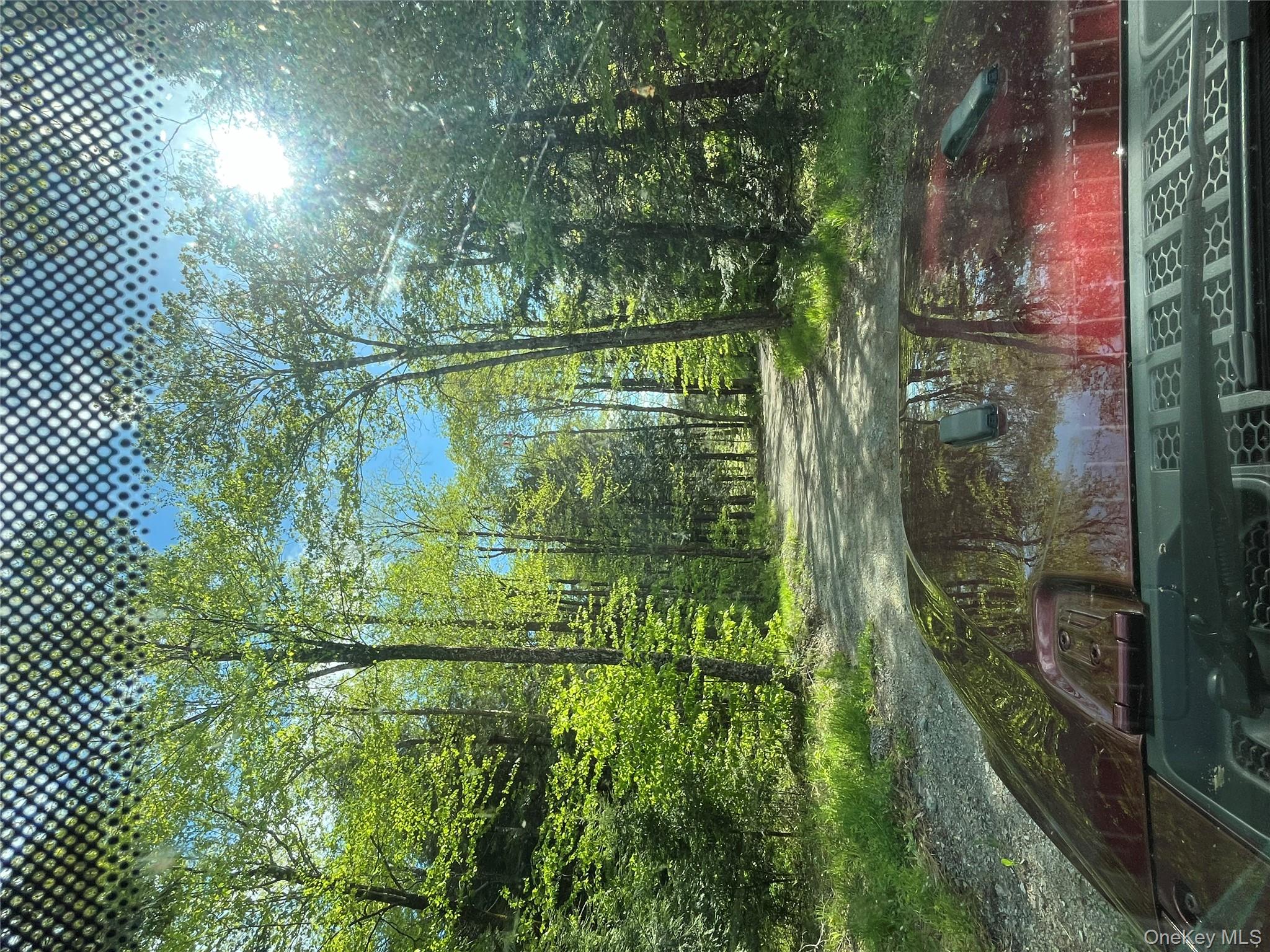 47 Eagles Ridge Way, Parksville, NY 12768