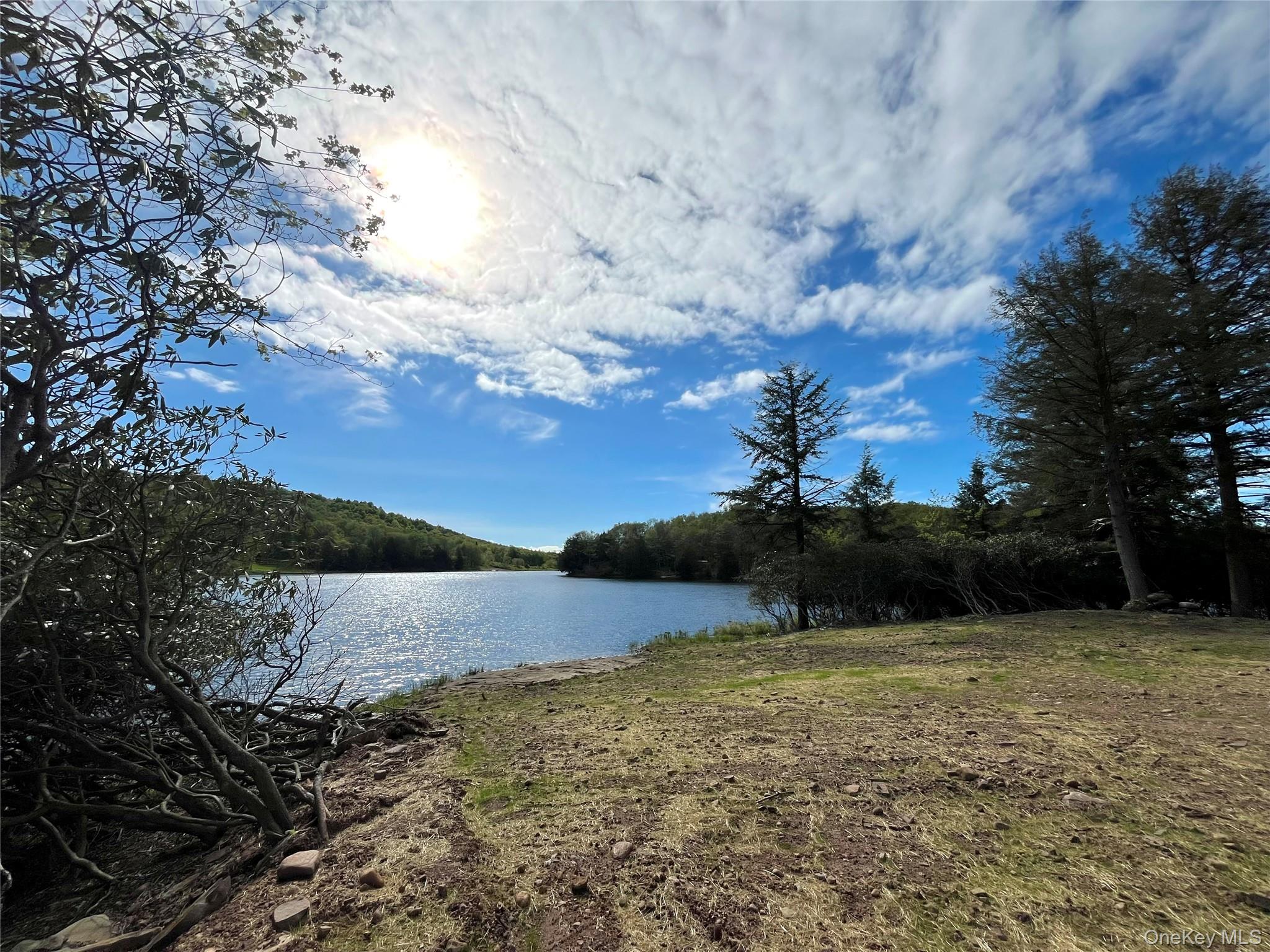 47 Eagles Ridge Way, Parksville, NY 12768