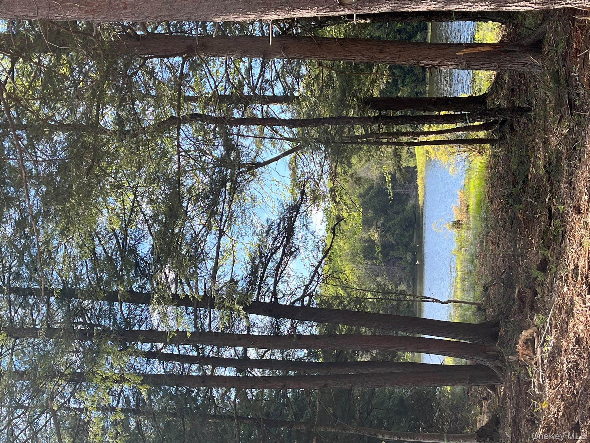 47 Eagles Ridge Way, Parksville, NY 12768