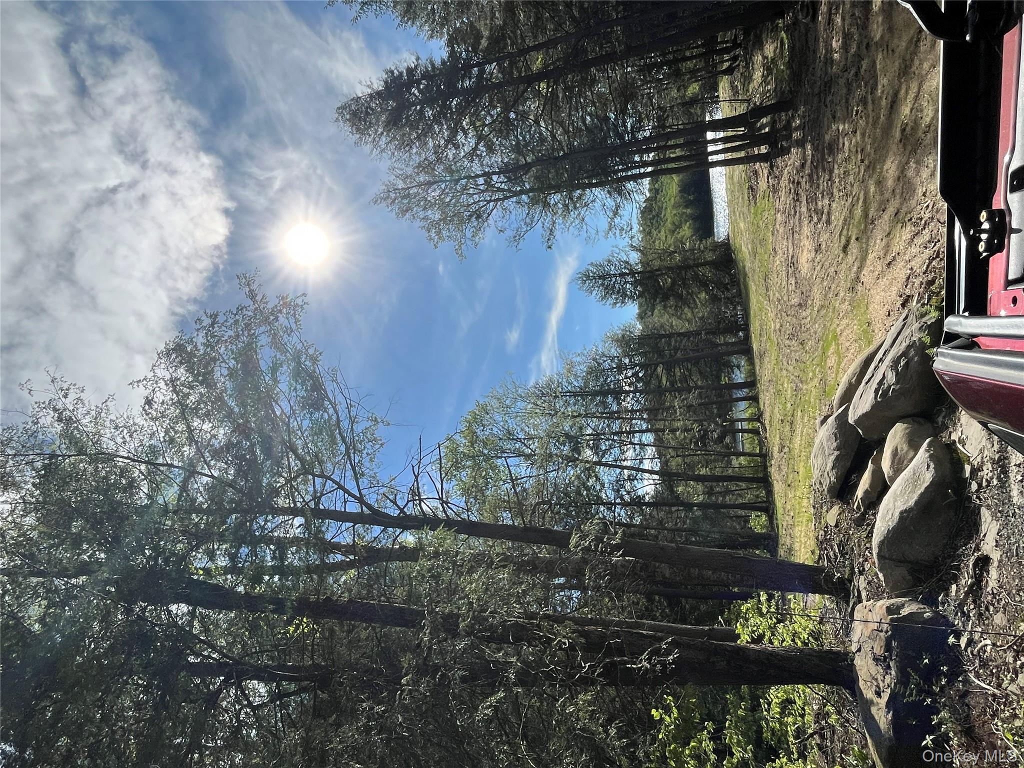 47 Eagles Ridge Way, Parksville, NY 12768