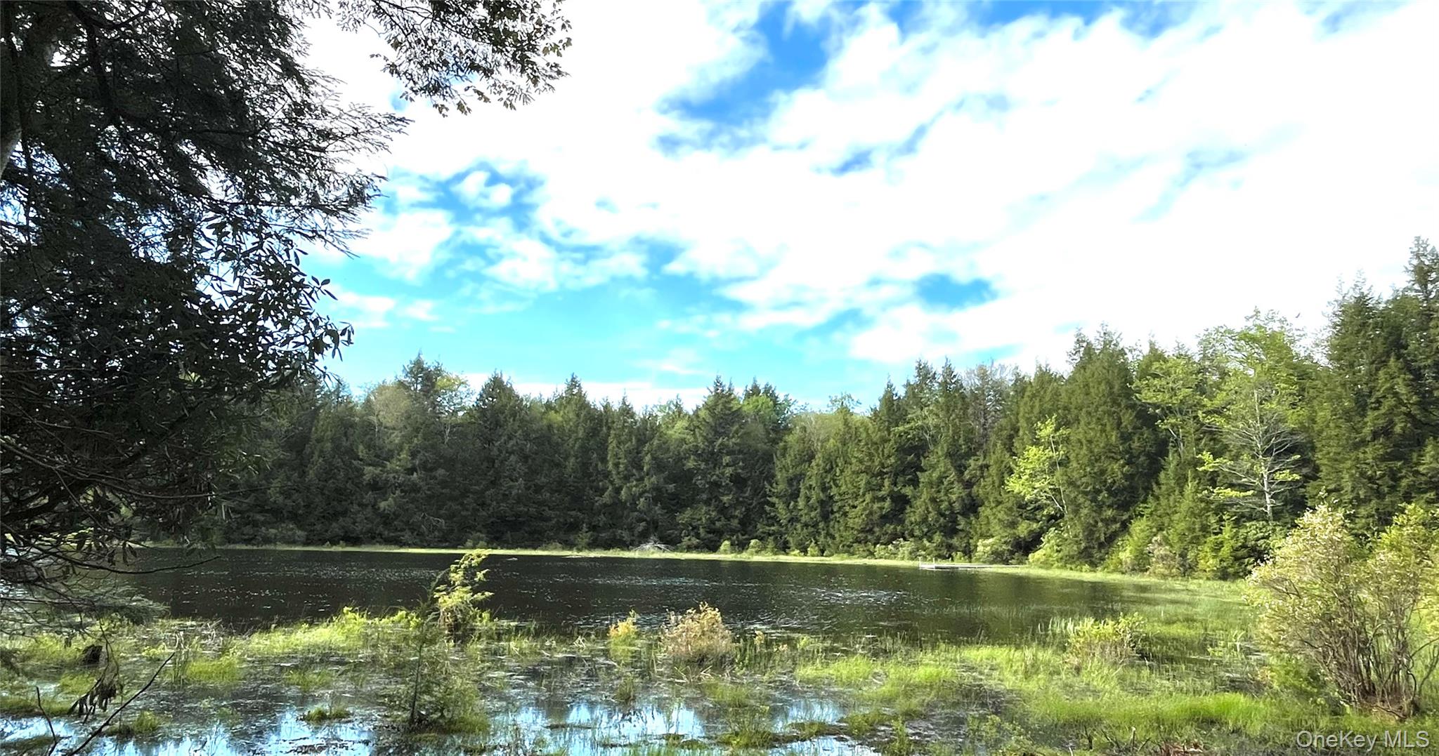 47 Eagles Ridge Way, Parksville, NY 12768