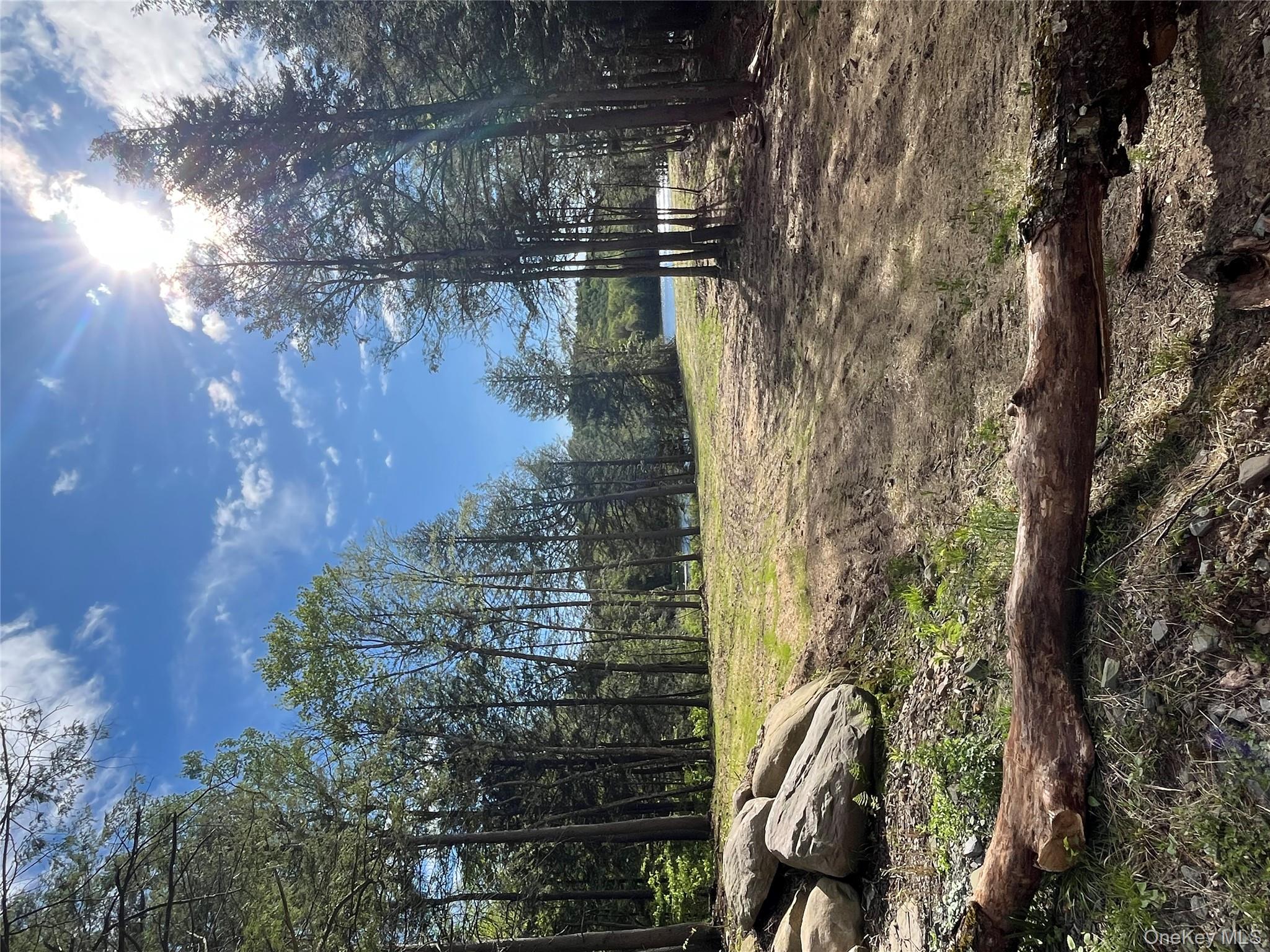 47 Eagles Ridge Way, Parksville, NY 12768