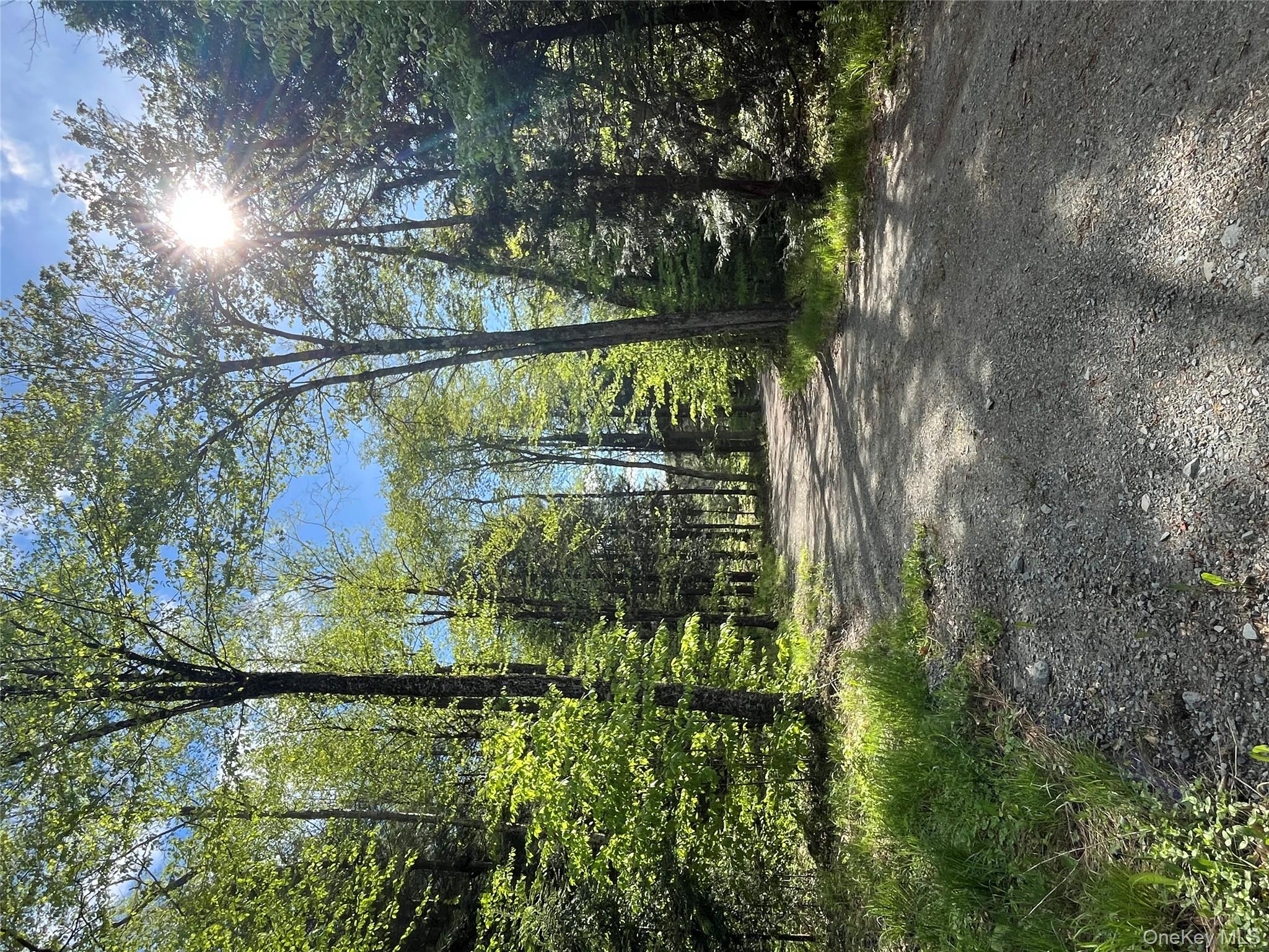 47 Eagles Ridge Way, Parksville, NY 12768