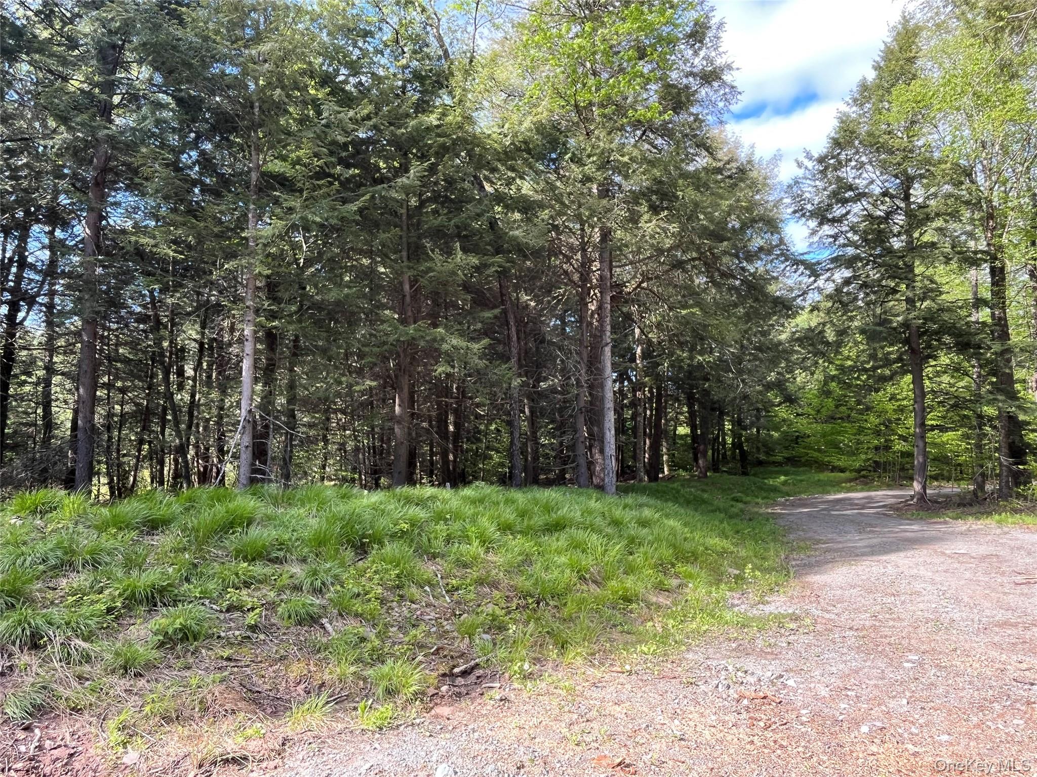 47 Eagles Ridge Way, Parksville, NY 12768