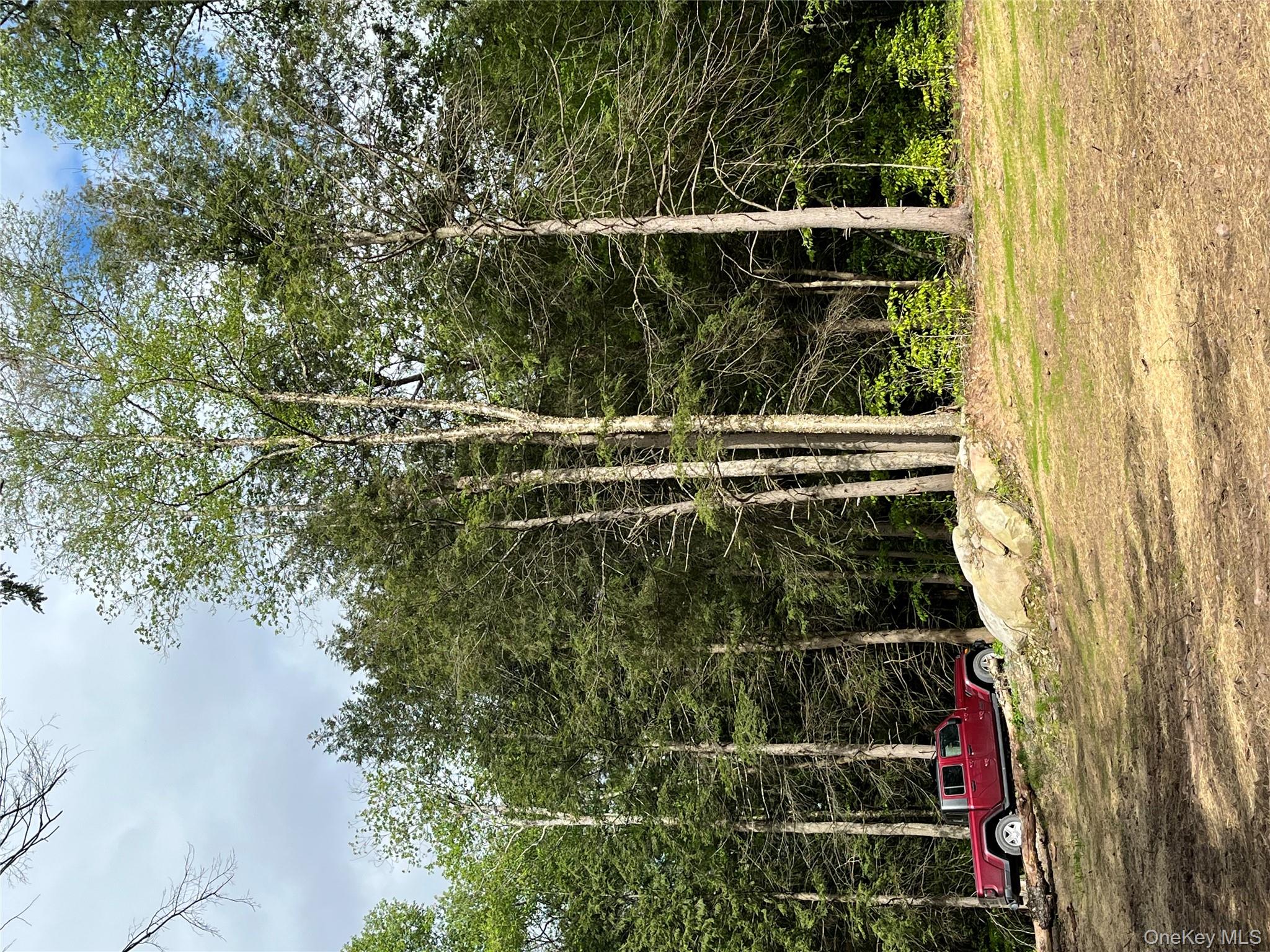 47 Eagles Ridge Way, Parksville, NY 12768