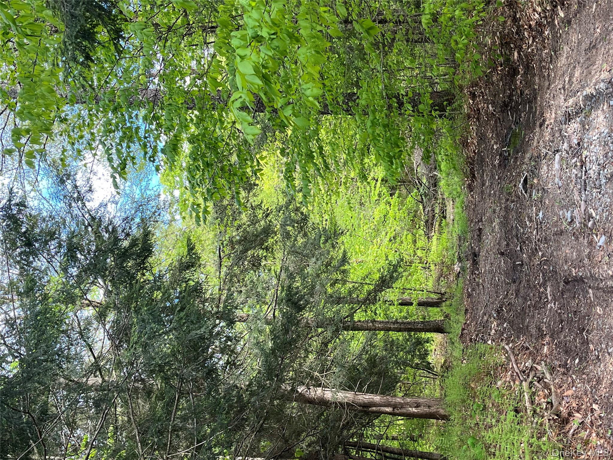 47 Eagles Ridge Way, Parksville, NY 12768