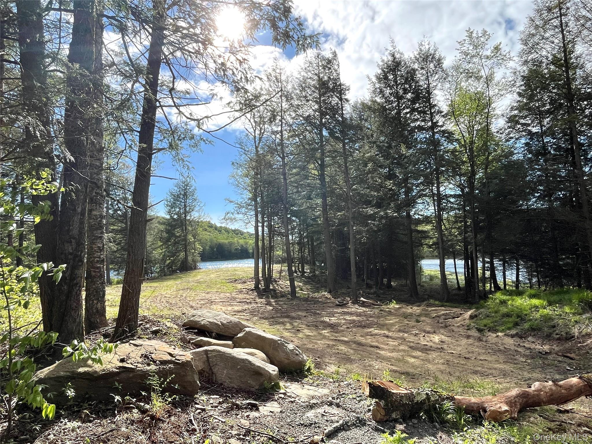 47 Eagles Ridge Way, Parksville, NY 12768