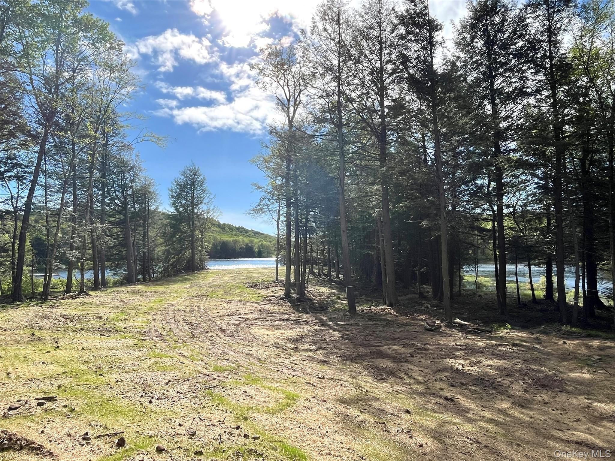 47 Eagles Ridge Way, Parksville, NY 12768