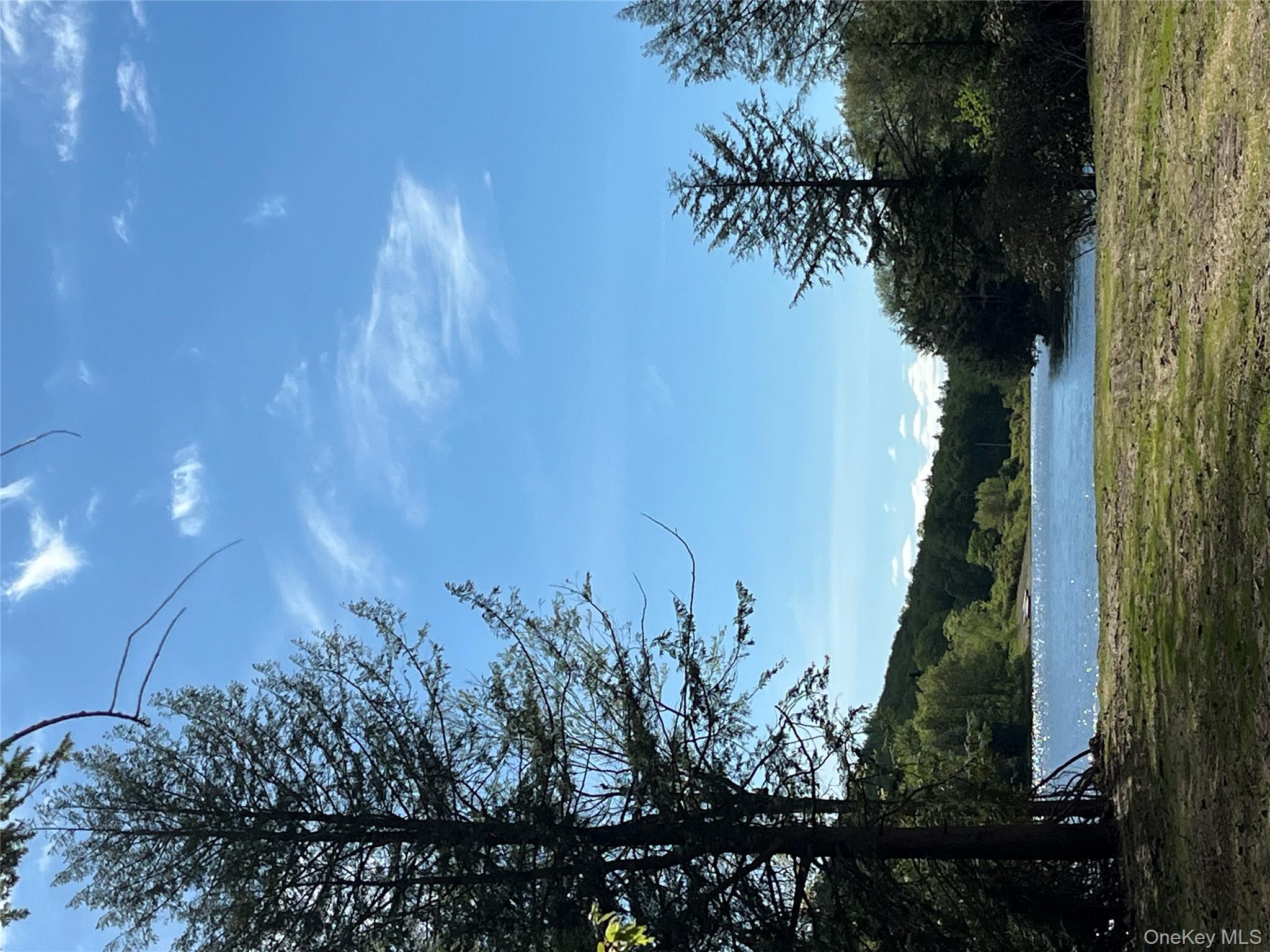 47 Eagles Ridge Way, Parksville, NY 12768