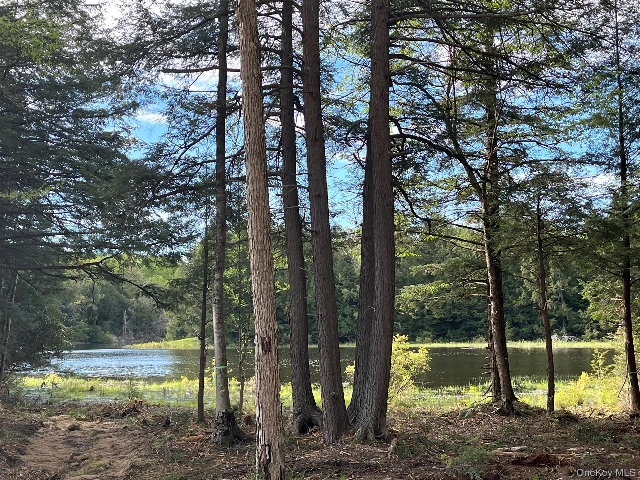 47 Eagles Ridge Way, Parksville, NY 12768