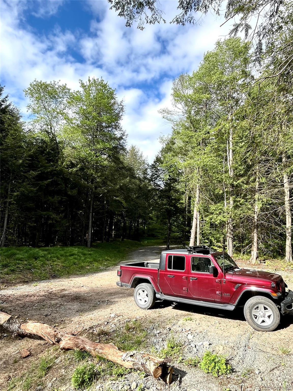 47 Eagles Ridge Way, Parksville, NY 12768