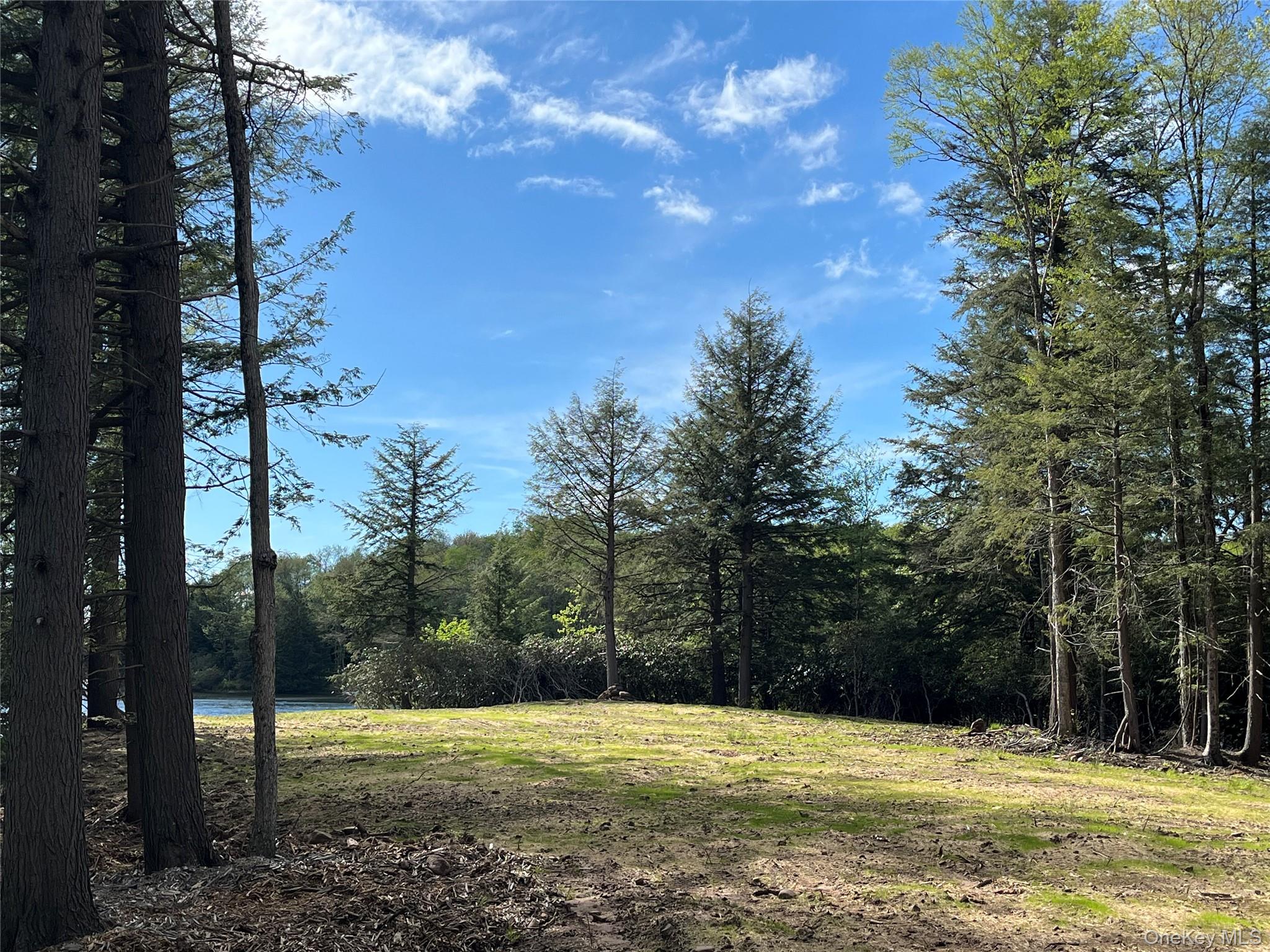 47 Eagles Ridge Way, Parksville, NY 12768