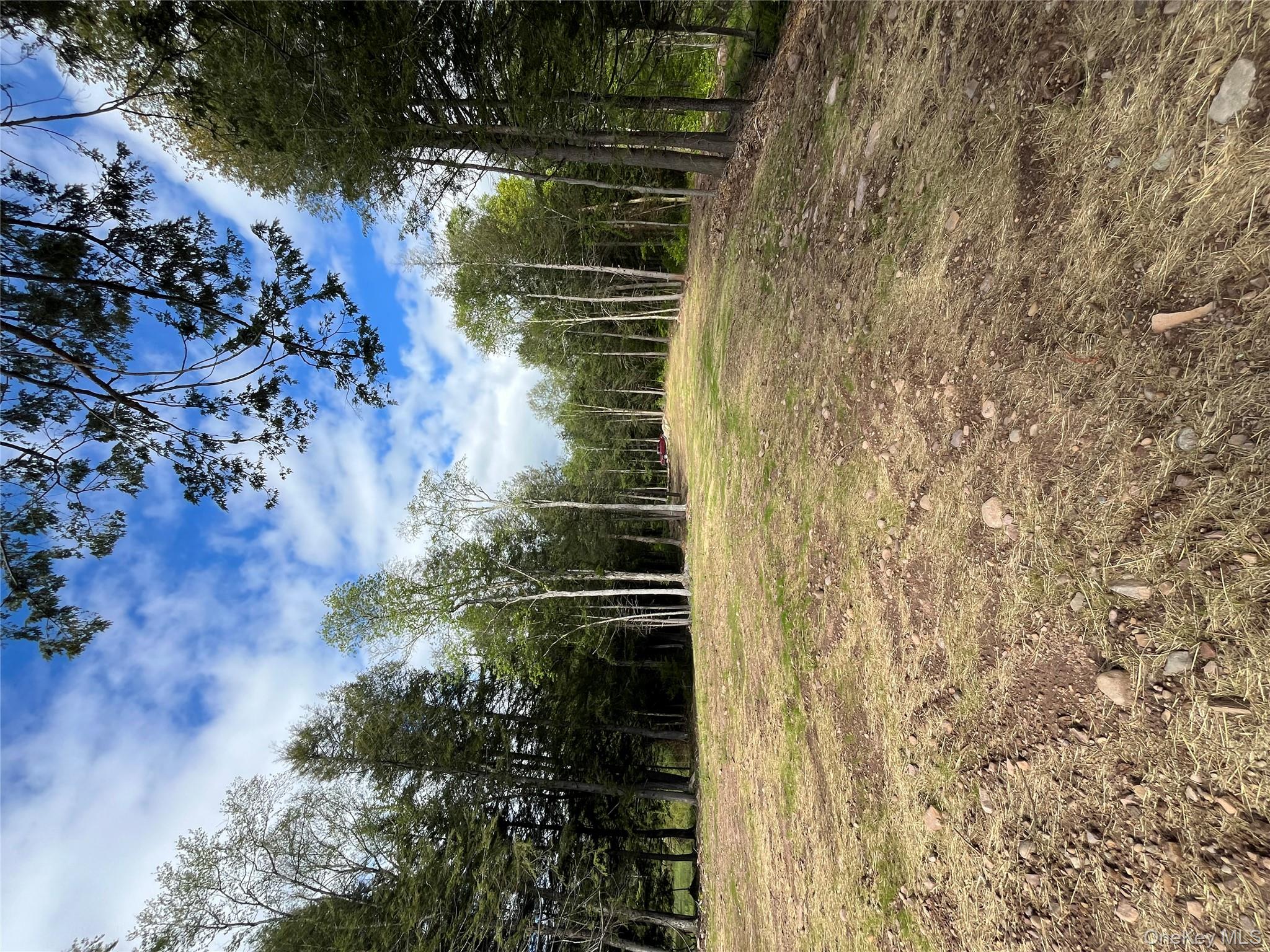 47 Eagles Ridge Way, Parksville, NY 12768