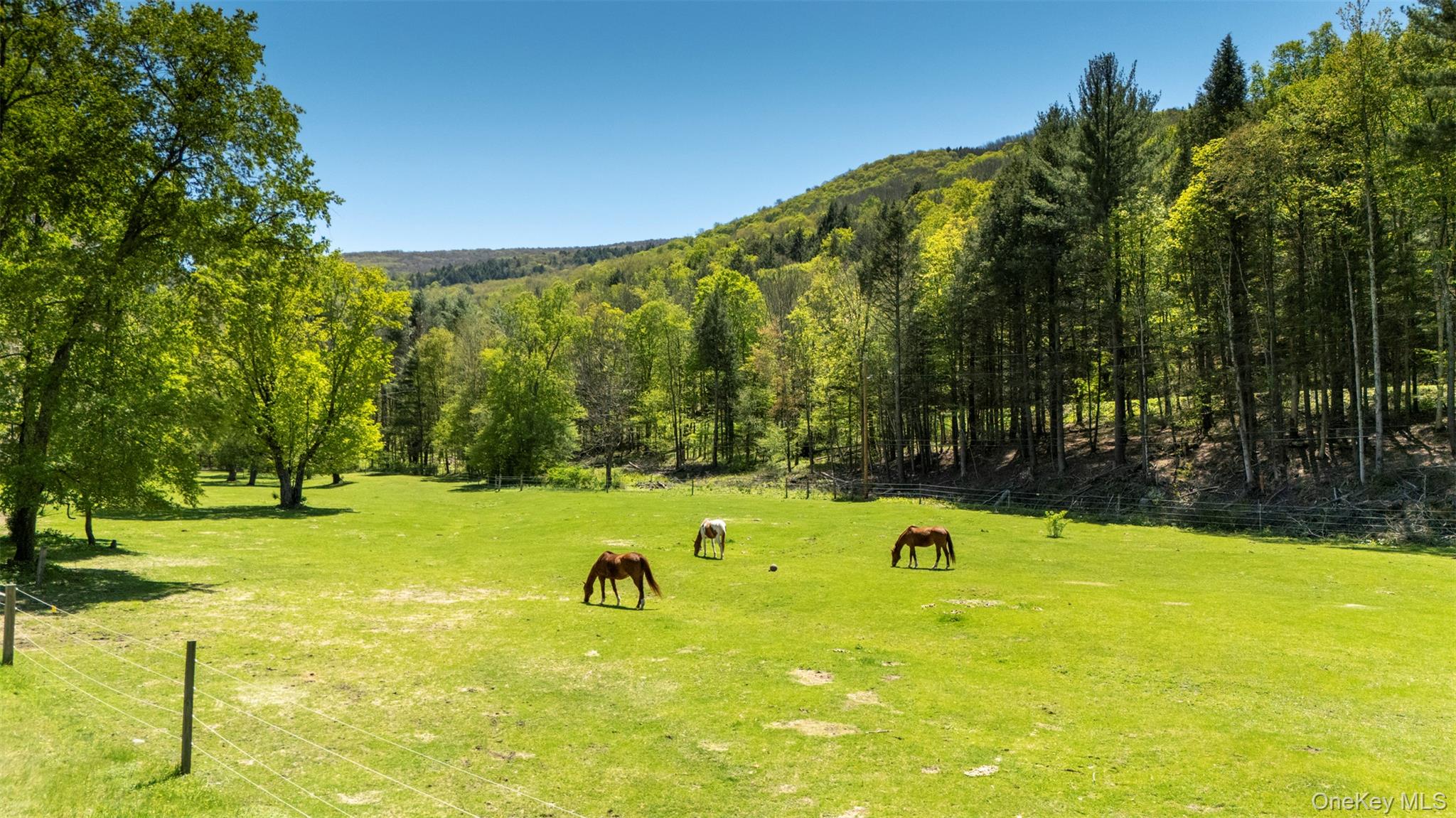 390 Erpf Road, Arkville, NY 12406