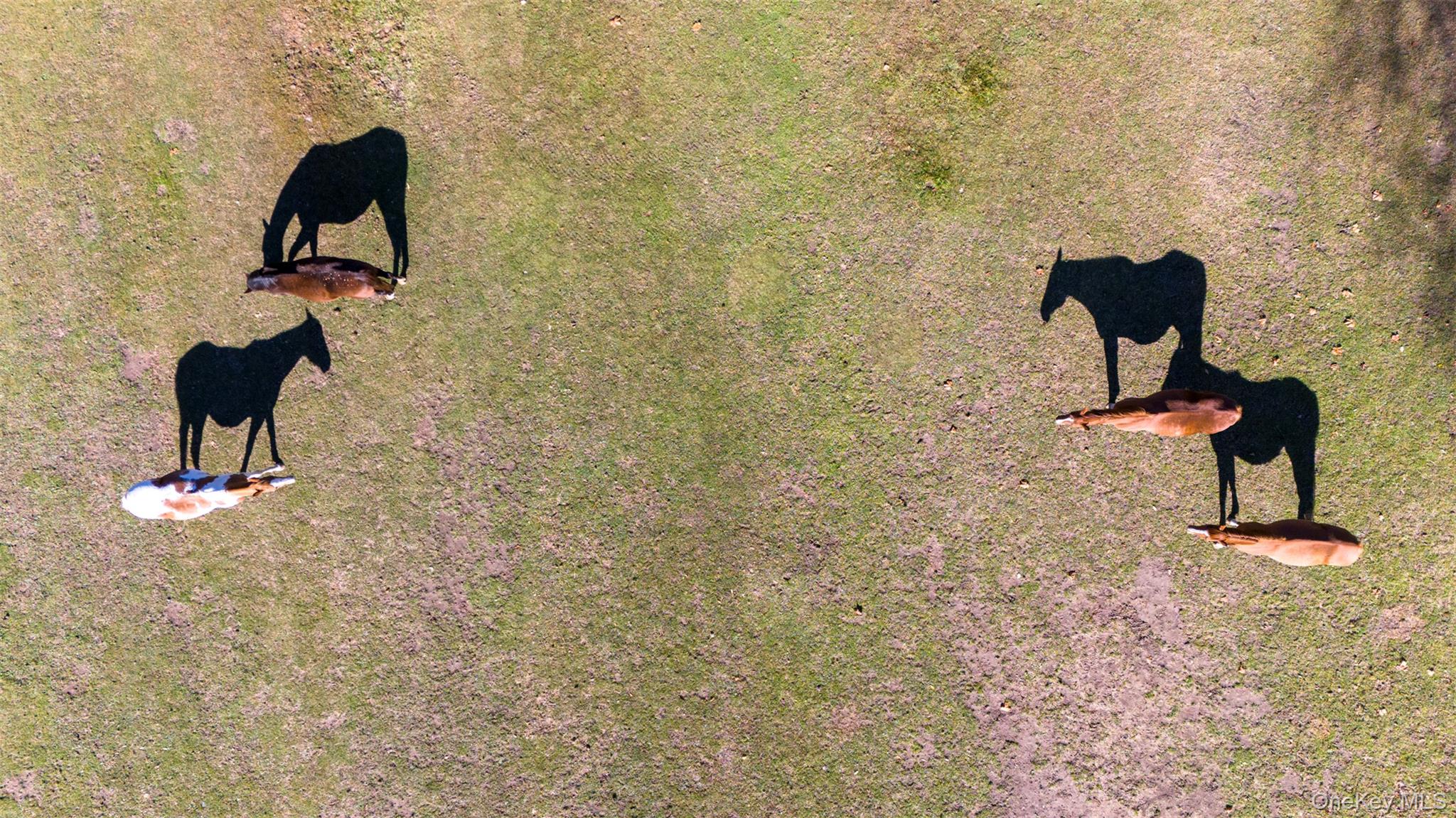 390 Erpf Road, Arkville, NY 12406