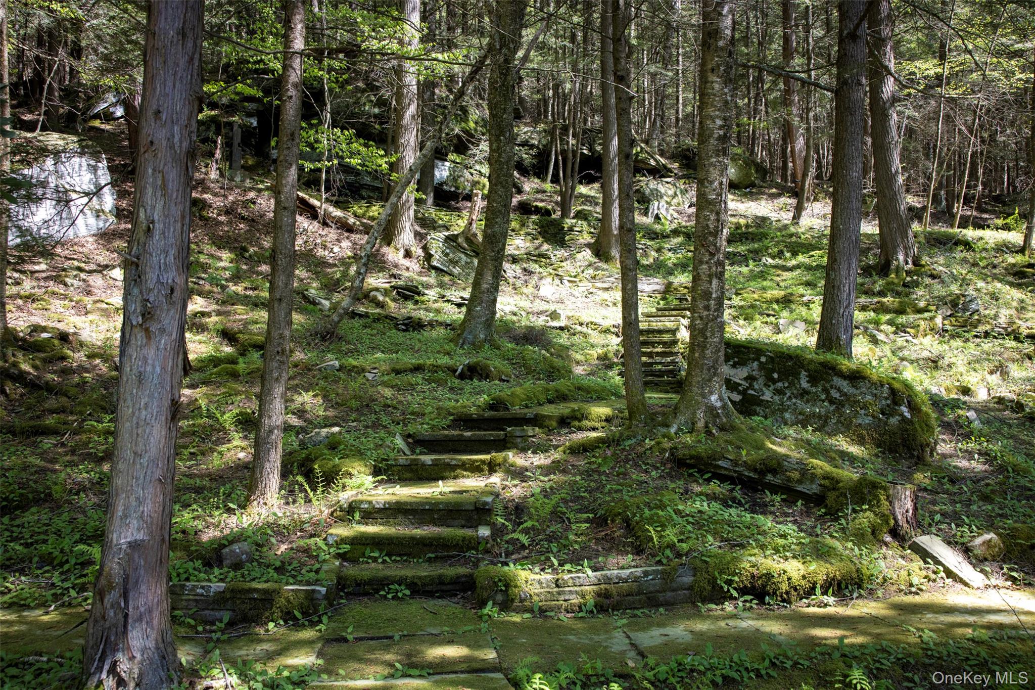 390 Erpf Road, Arkville, NY 12406