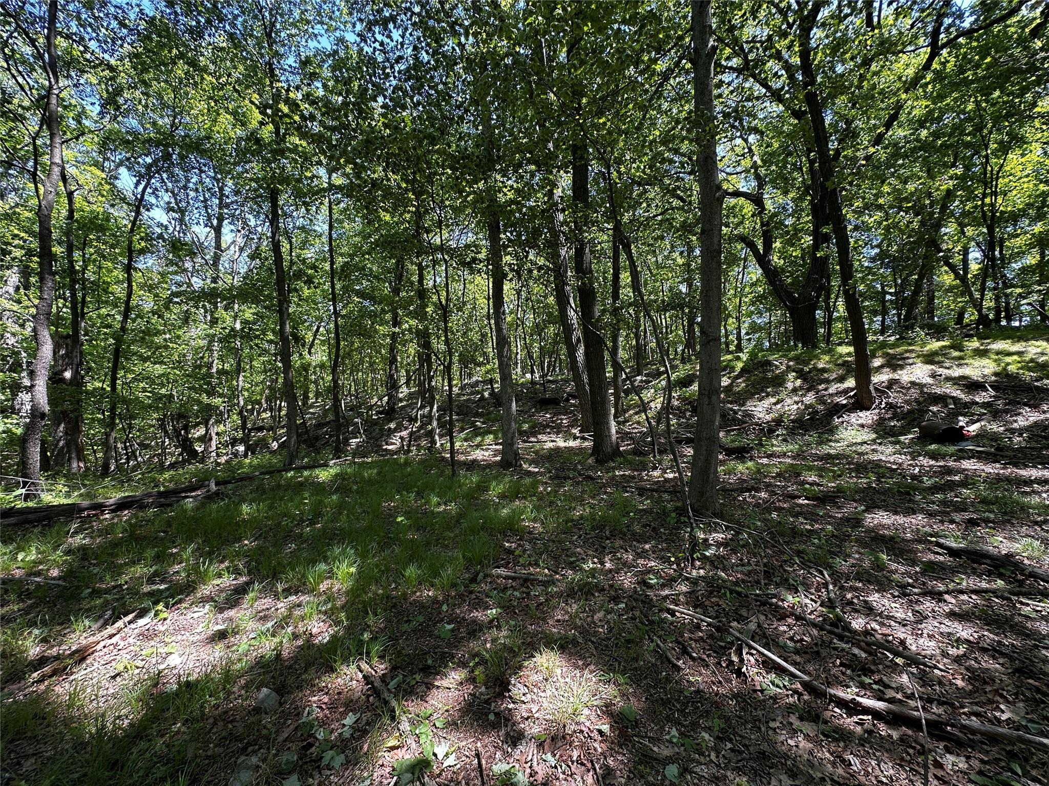 Rye Hill Road, Monroe, NY 10950