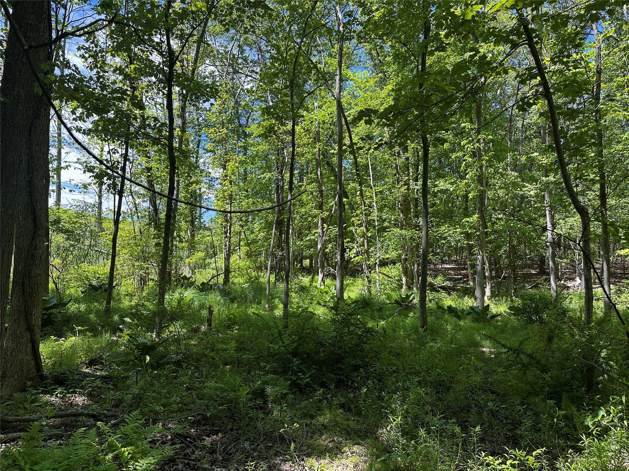 Rye Hill Road, Monroe, NY 10950