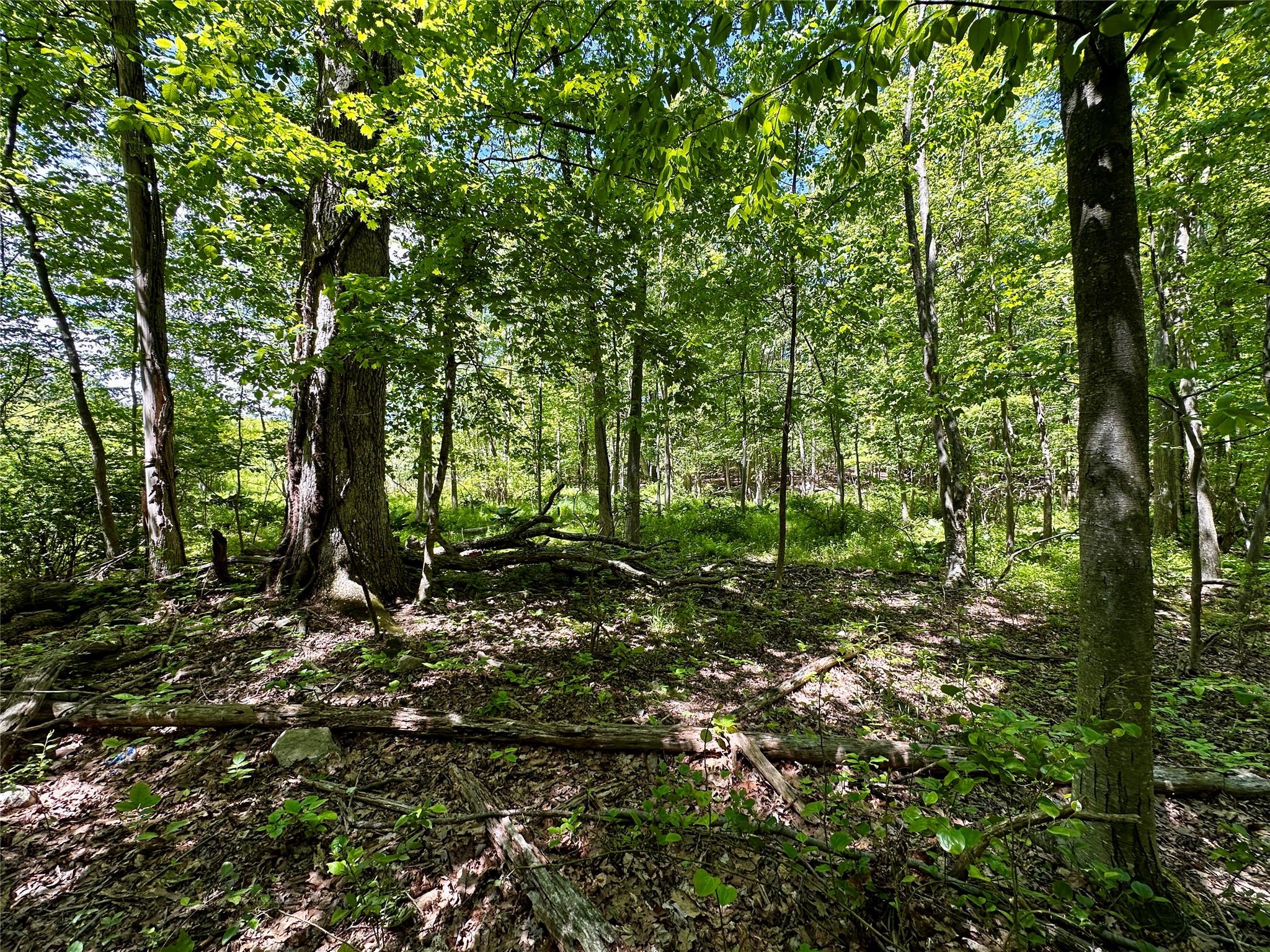 Rye Hill Road, Monroe, NY 10950