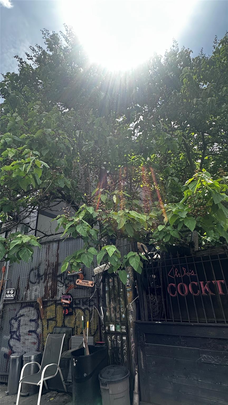 196 Clifton Place, Brooklyn, NY 11216