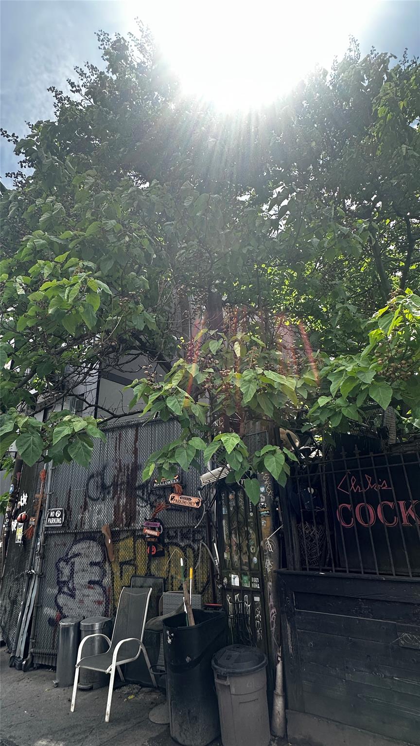 196 Clifton Place, Brooklyn, NY 11216