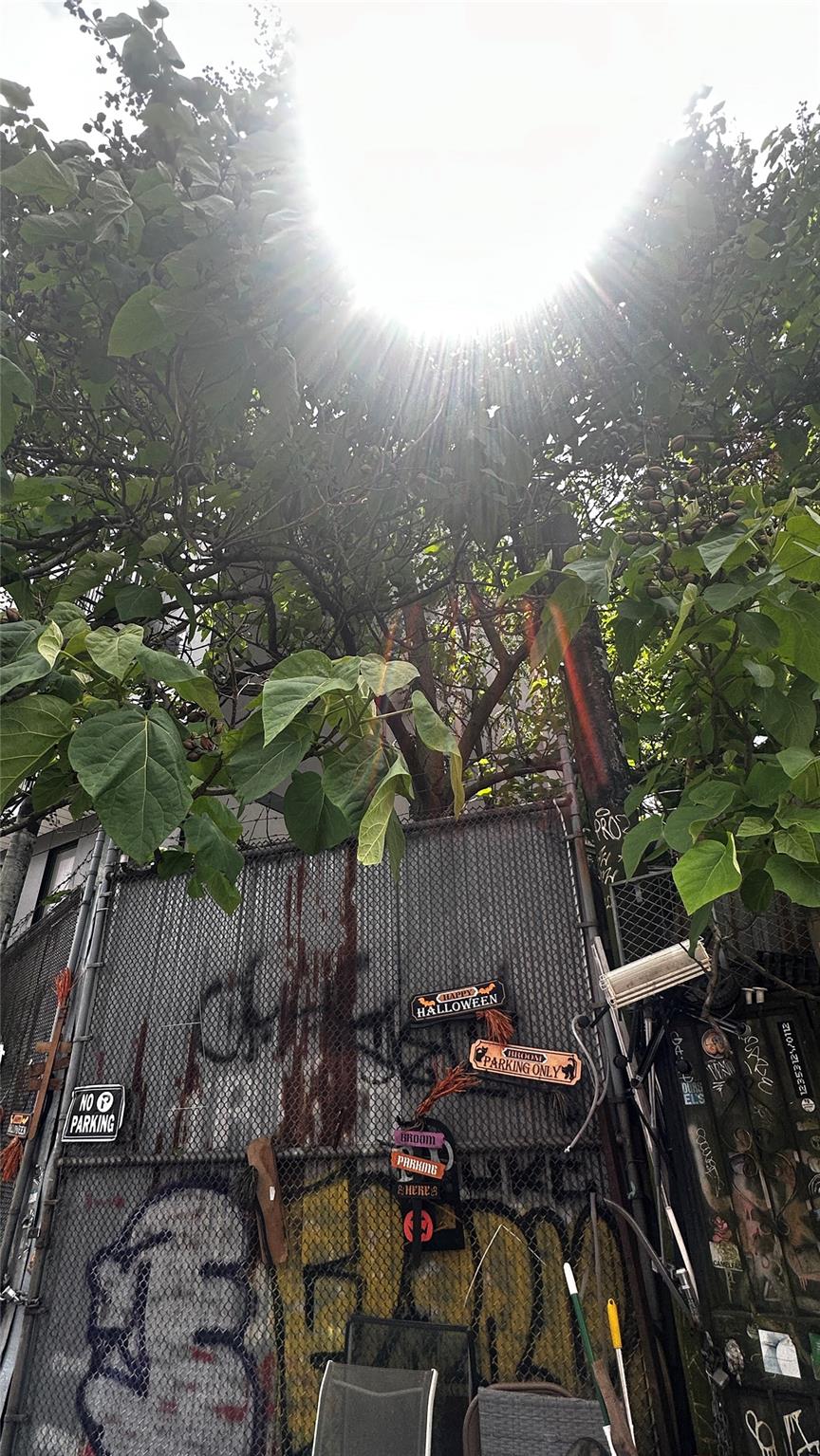 196 Clifton Place, Brooklyn, NY 11216