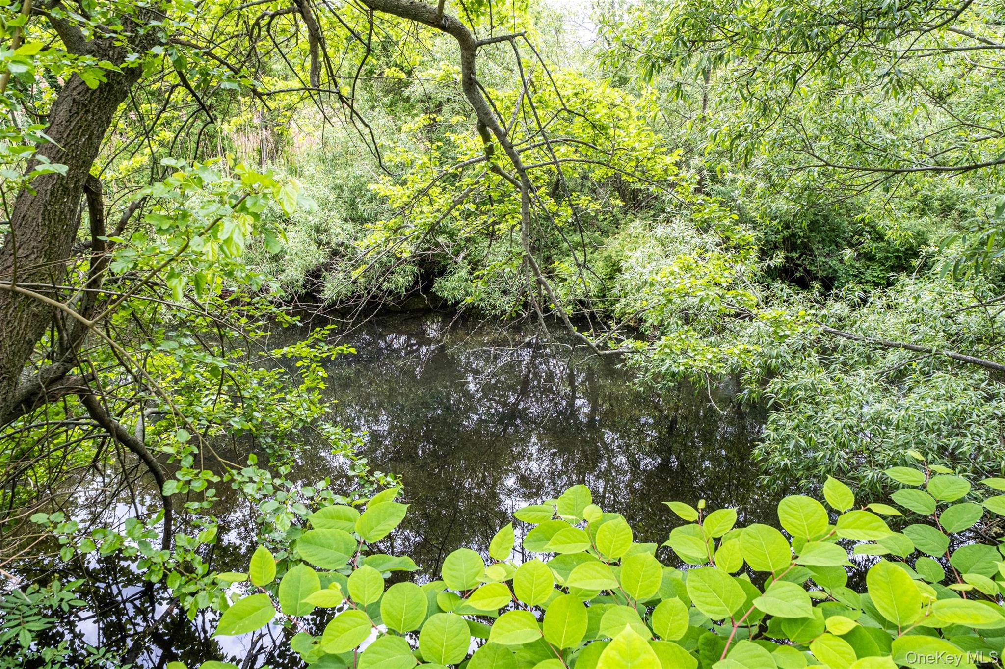 135 Rosebud Court # 135, Patchogue, NY 11772