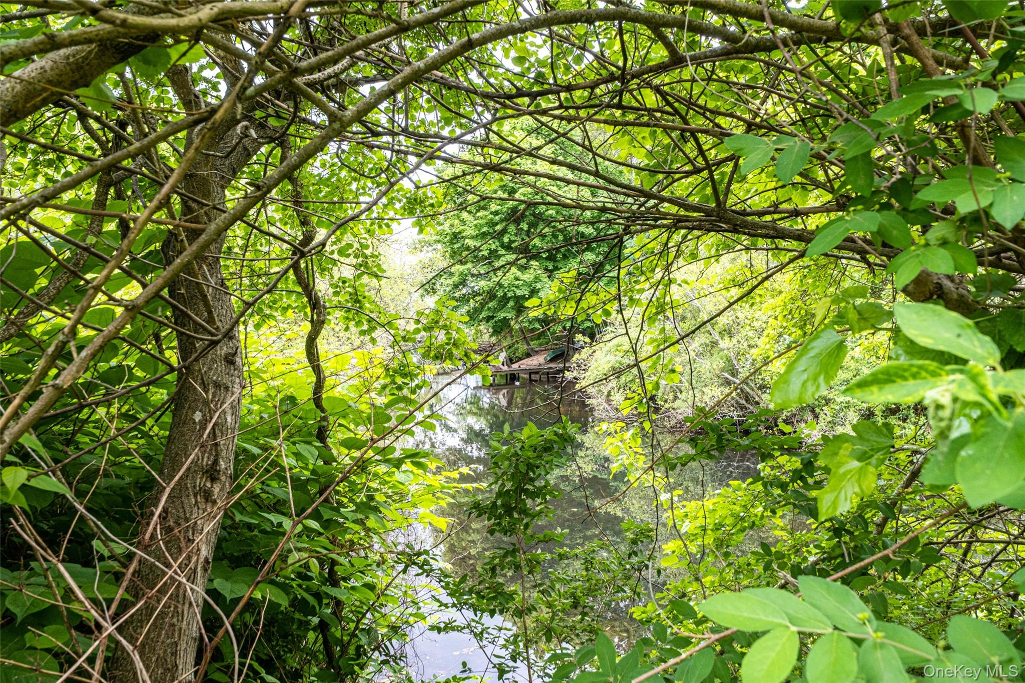 135 Rosebud Court # 135, Patchogue, NY 11772