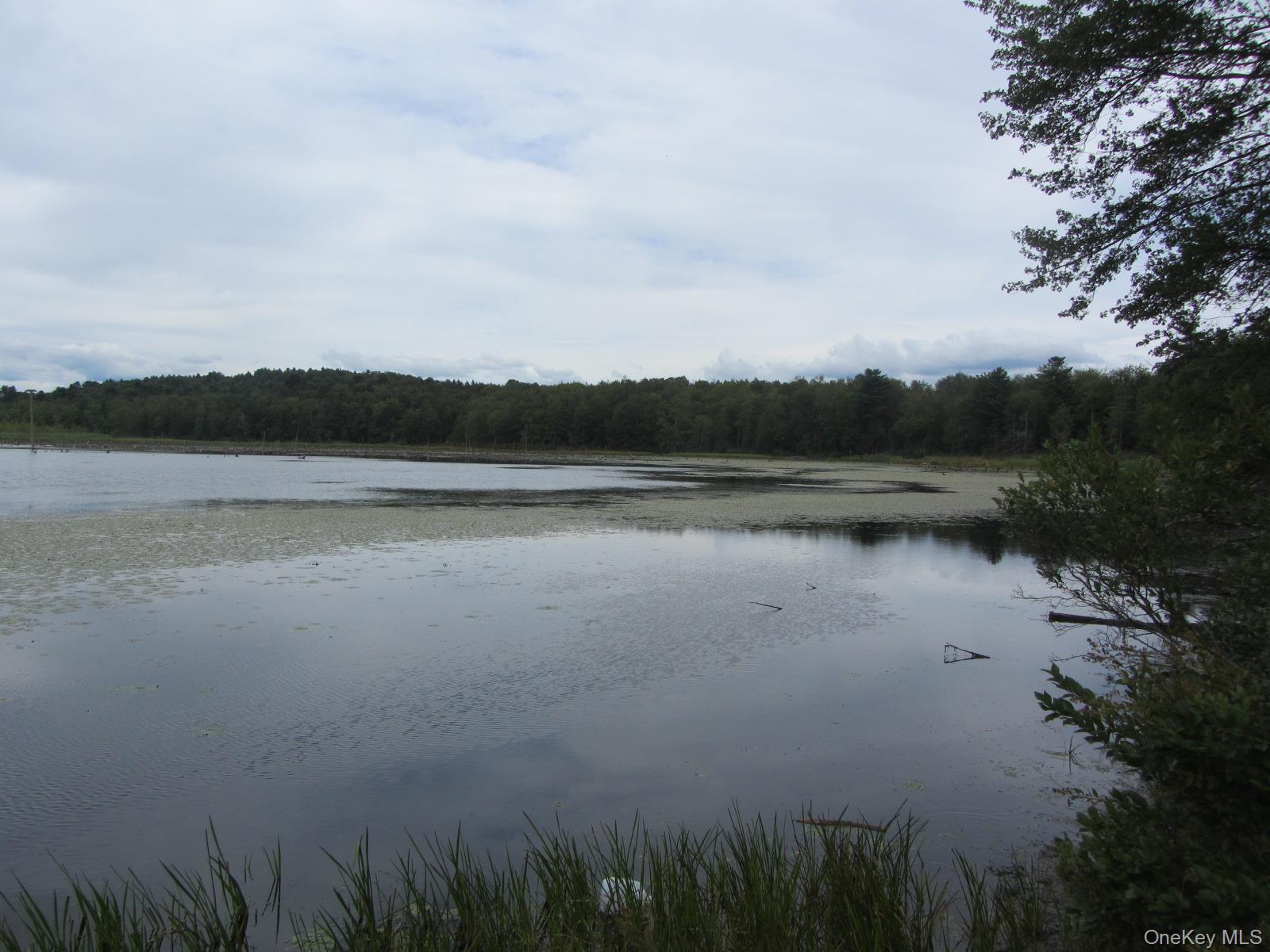 T/B/D Fraser Road, Monticello, NY 12701