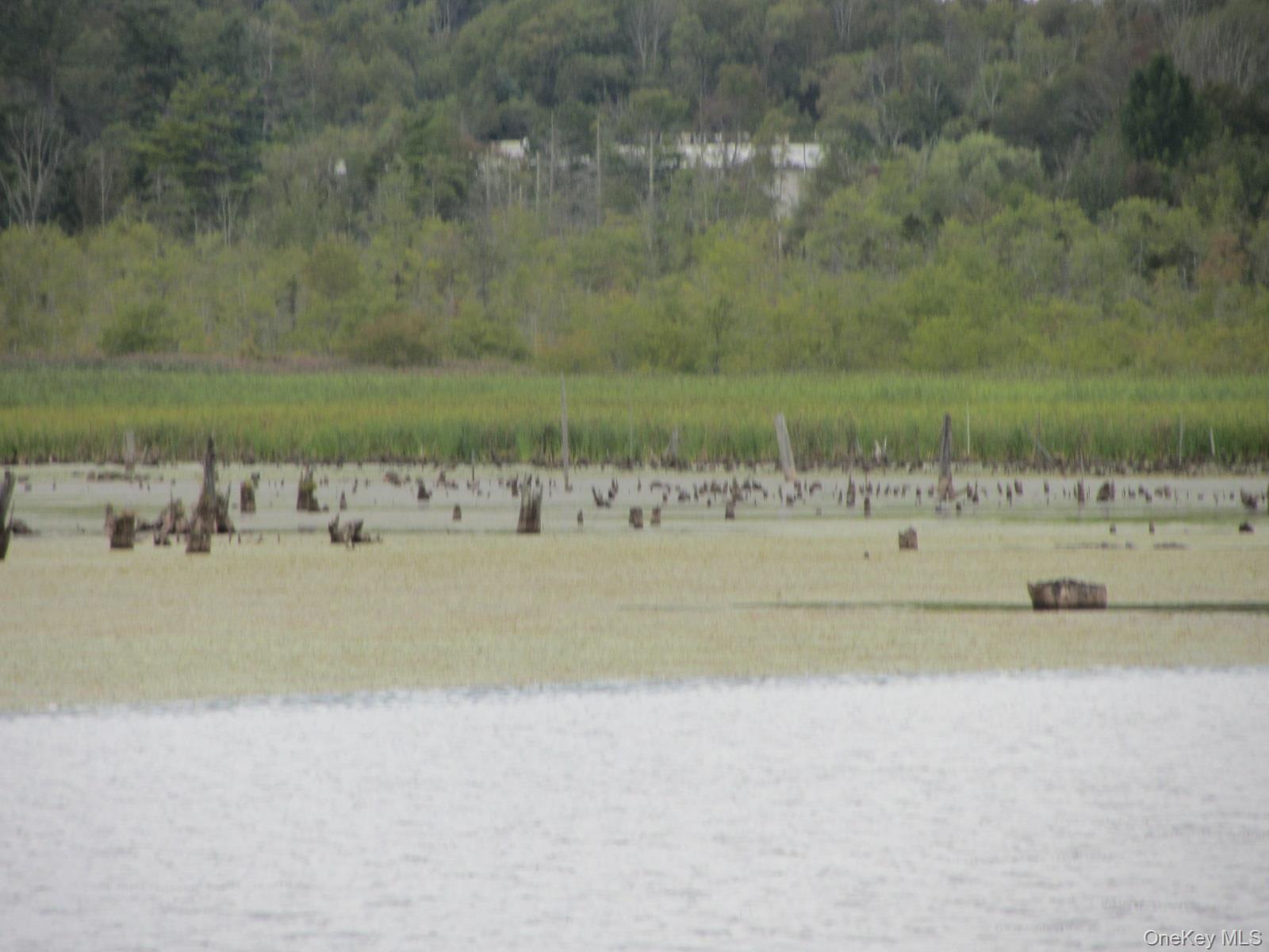 T/B/D Fraser Road, Monticello, NY 12701