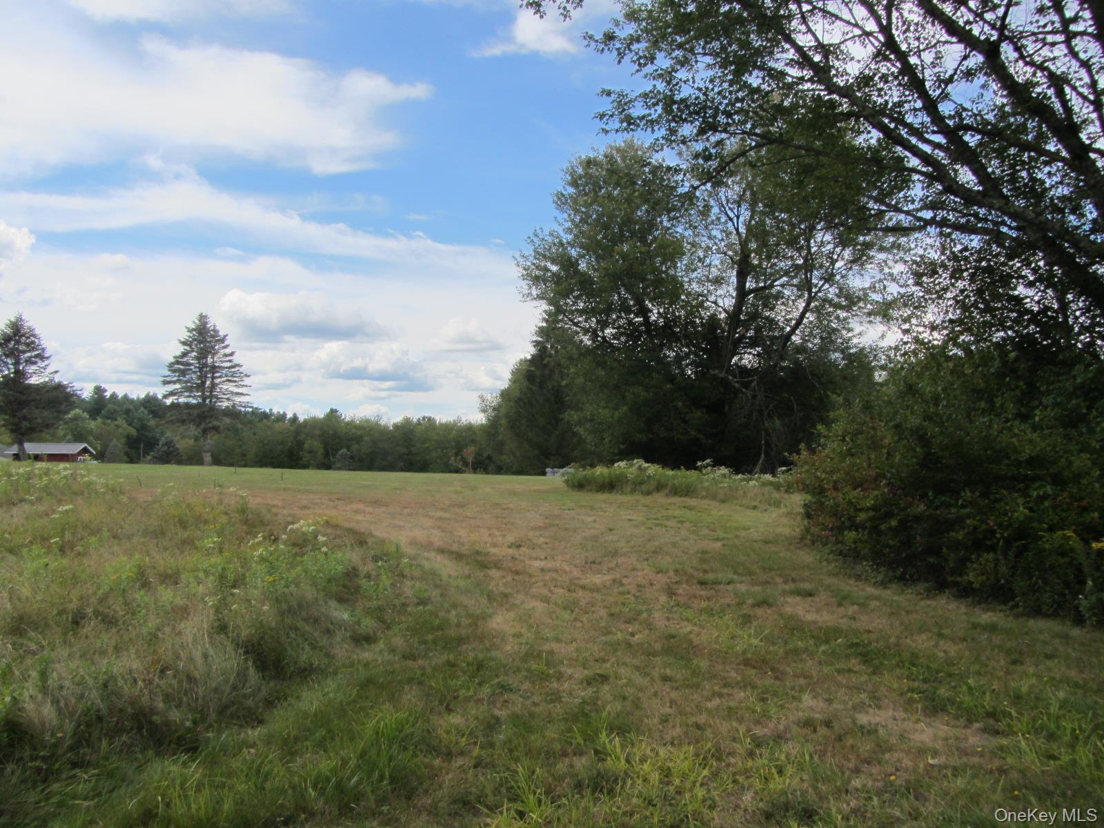 T/B/D Fraser Road, Monticello, NY 12701