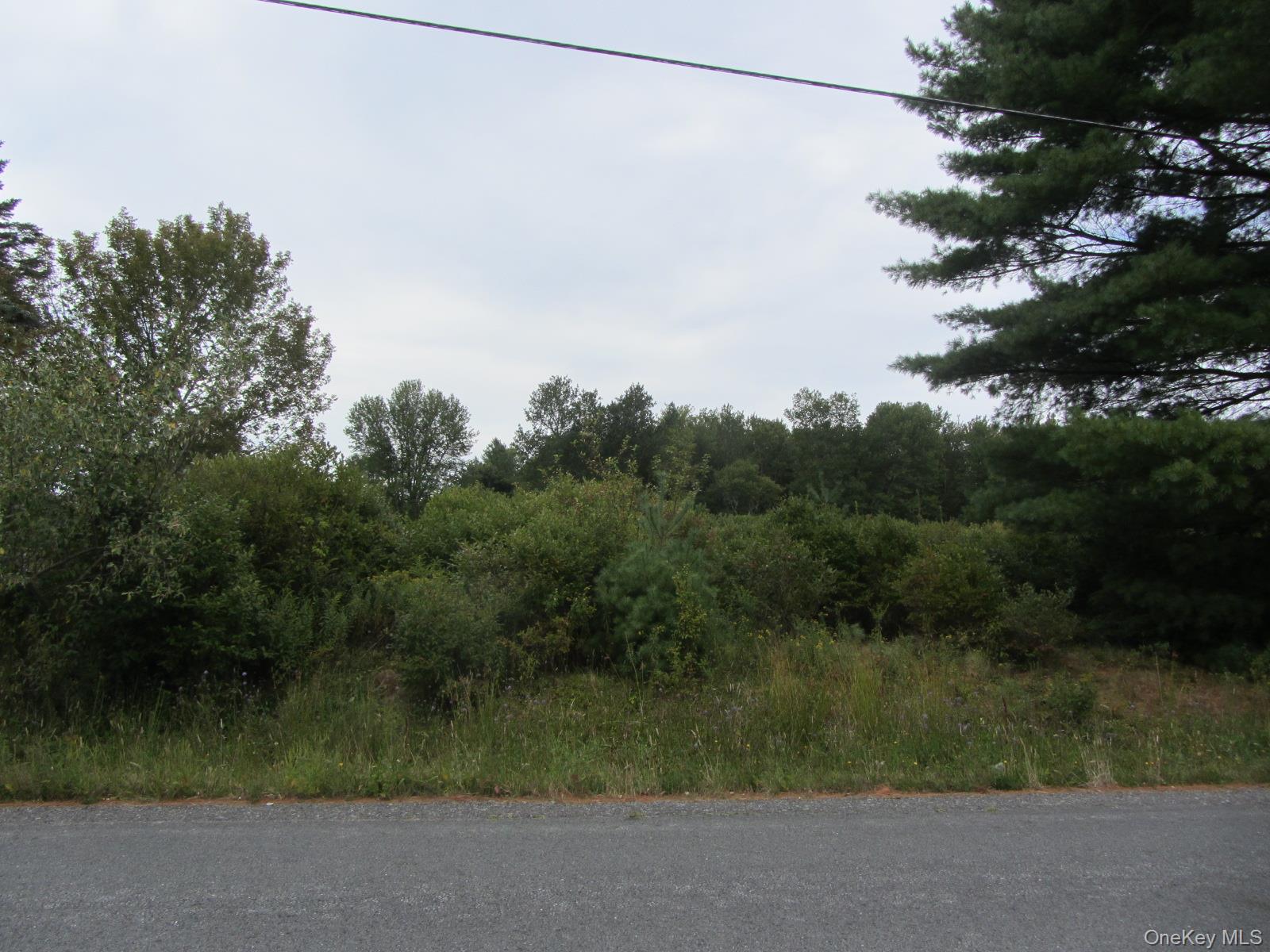 T/B/D Fraser Road, Monticello, NY 12701